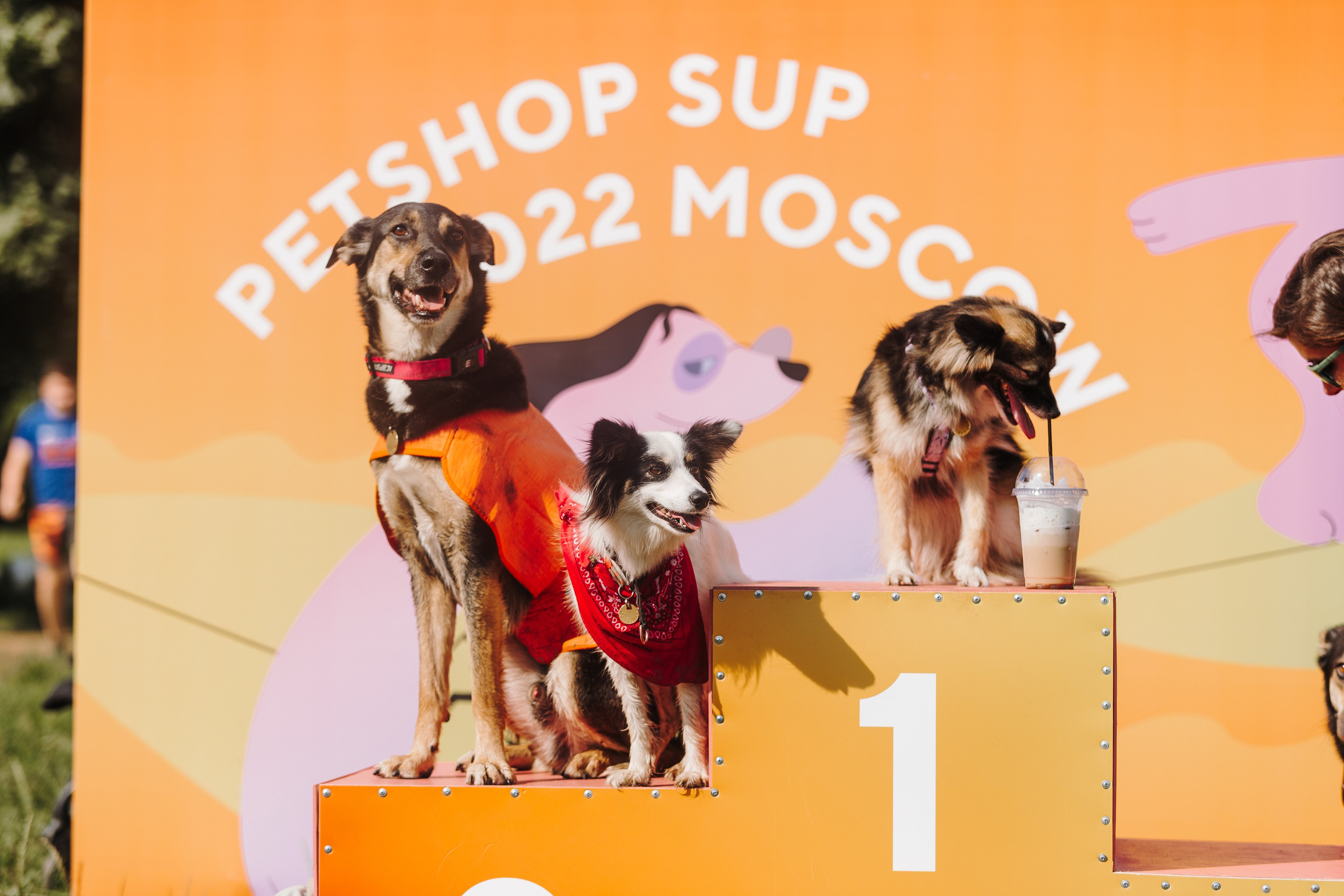 Petshop Sup day. Фотограф анималист Кристина Карпова, Москва