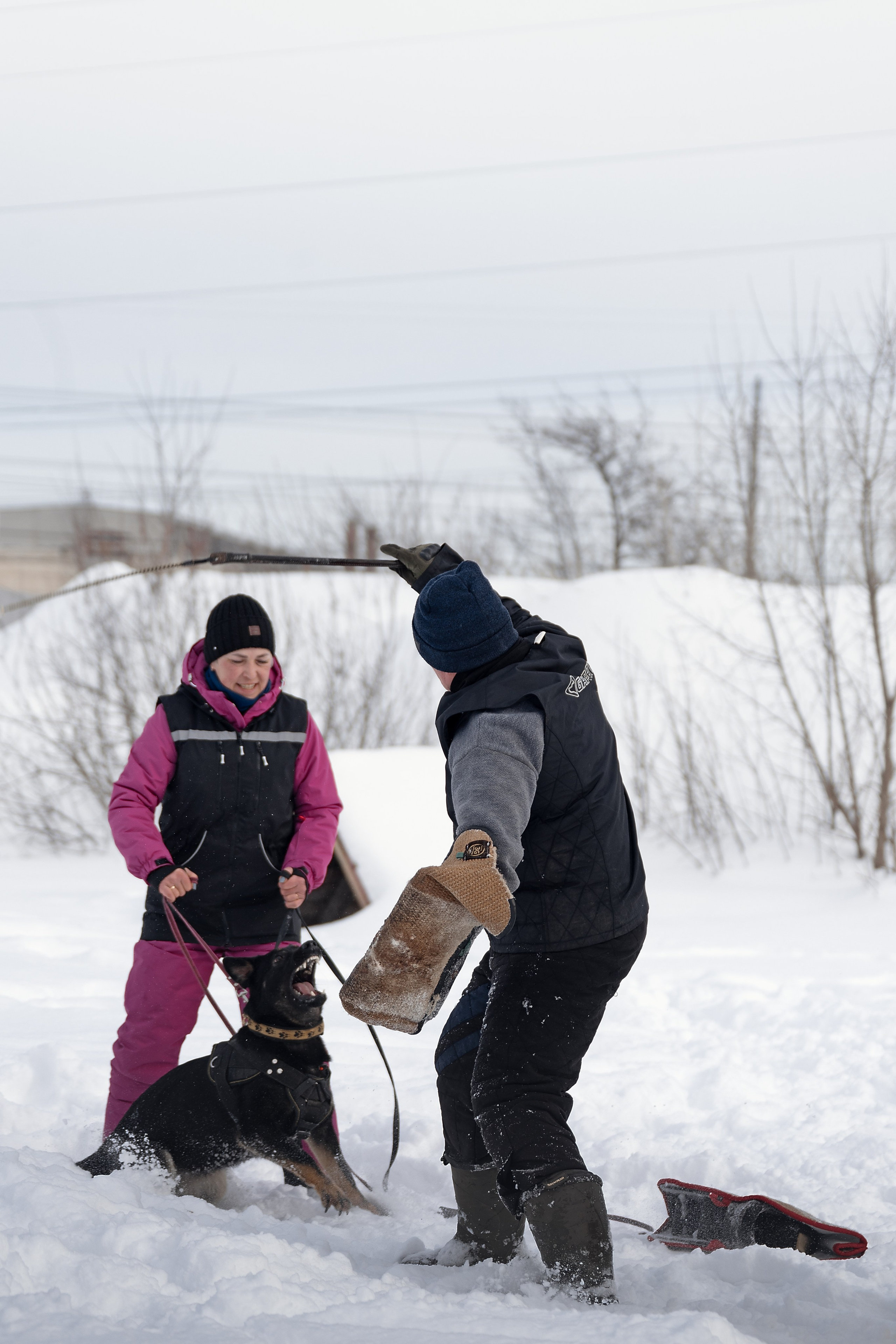 Репортажная съемка. Фотограф-анималист Нижний Новгород