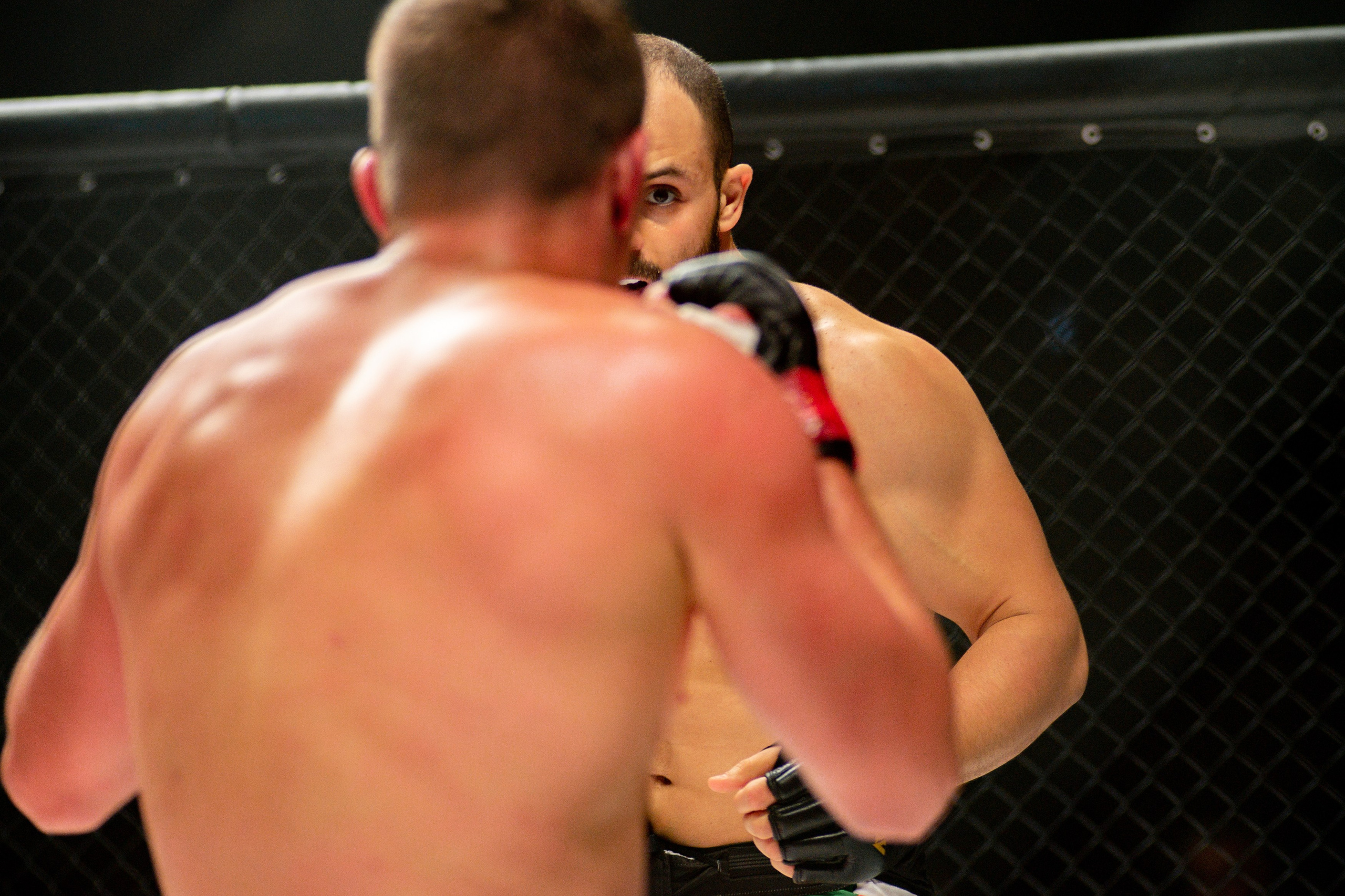 Miroslava Fight