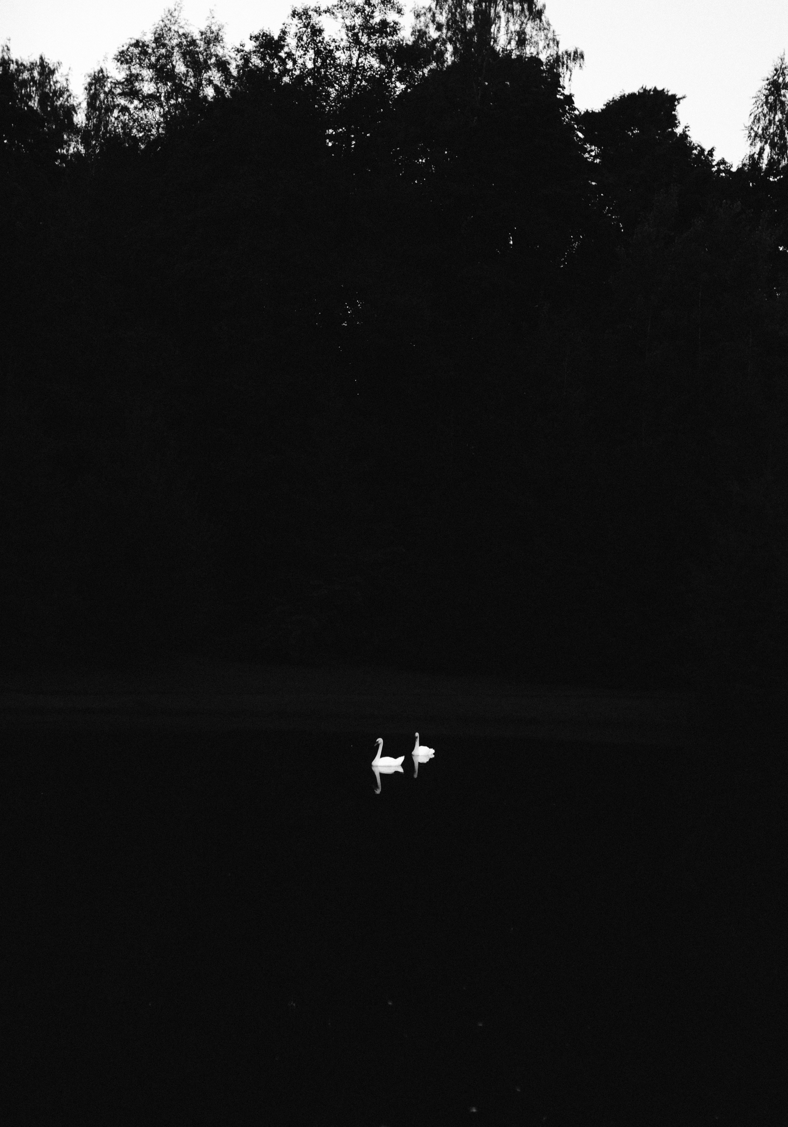 Александра и Илья. Свадебный и портретный фотограф в Калининграде и Москве Марк Юдинцев