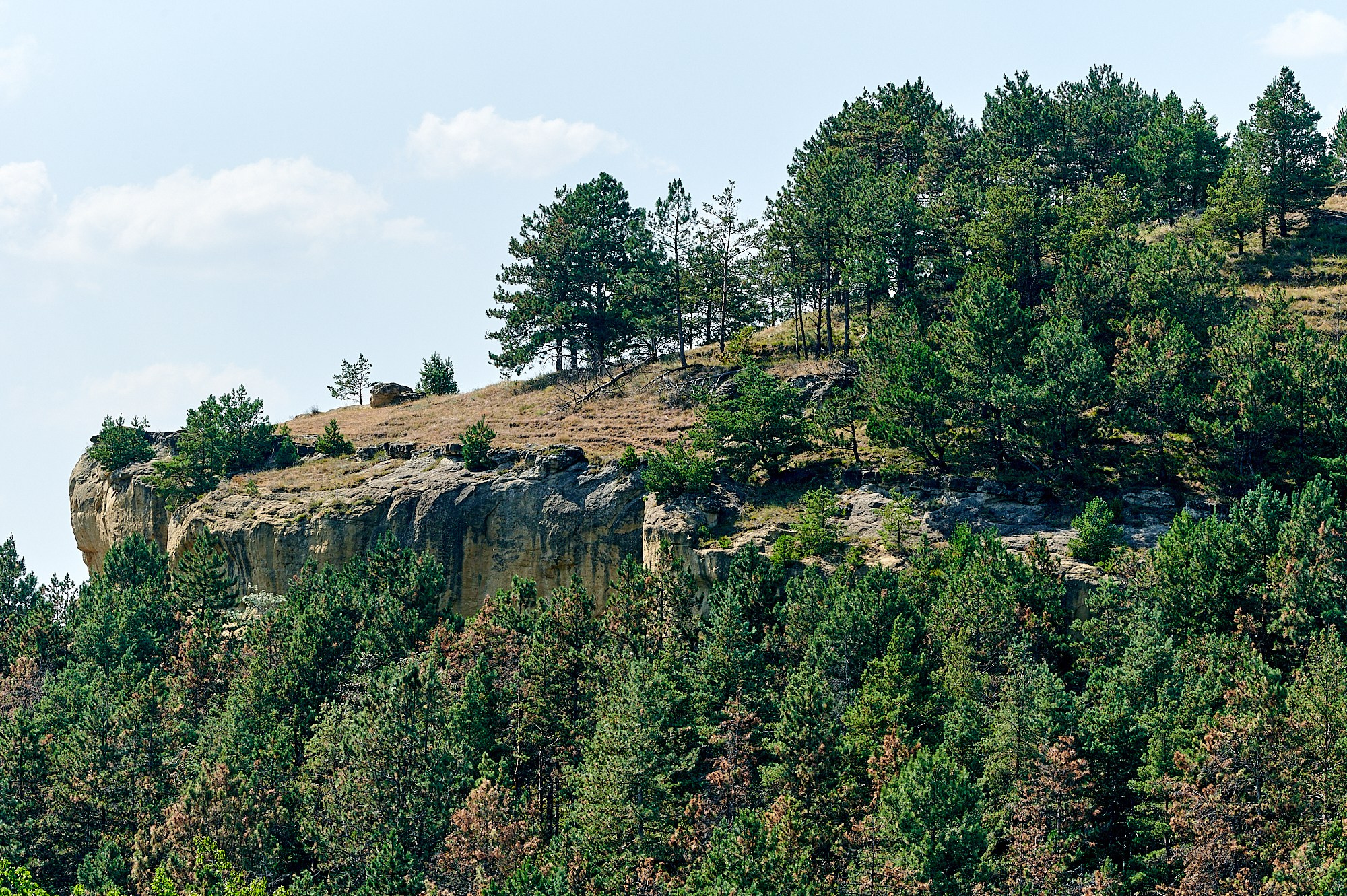 Кисловодск, Россия. Август 2024. Фотографии отовсюду и обо всем
