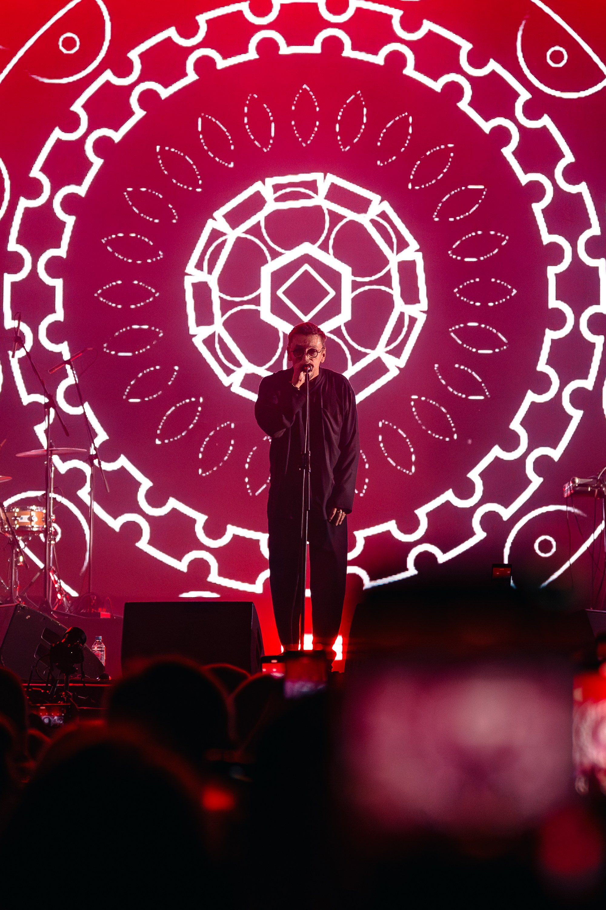 Танцы Минус. Магия музыки в кадре: Концертная Фотография