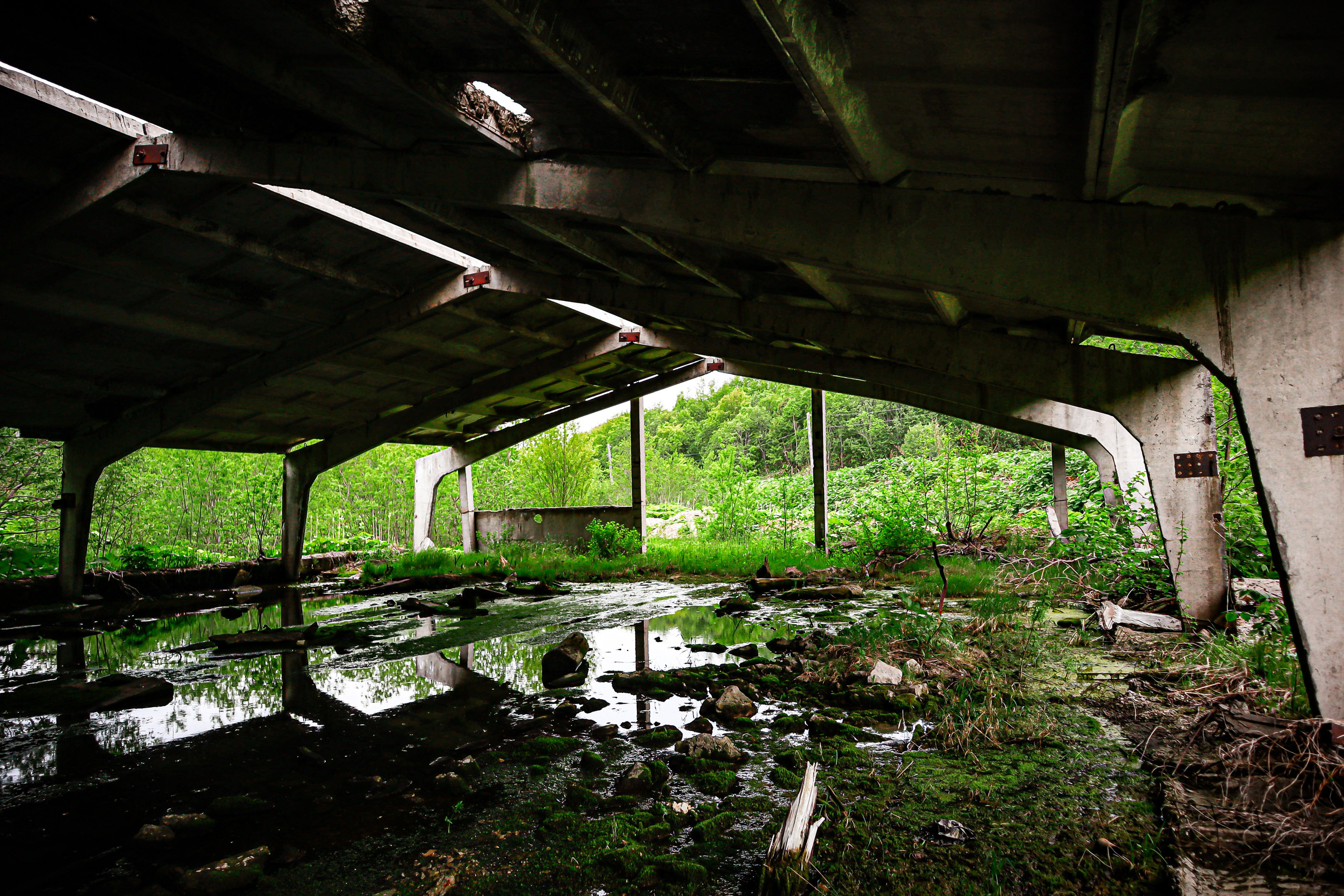 #давайубежим. Фотограф в Южно-Сахалинске Гусаков Евгений