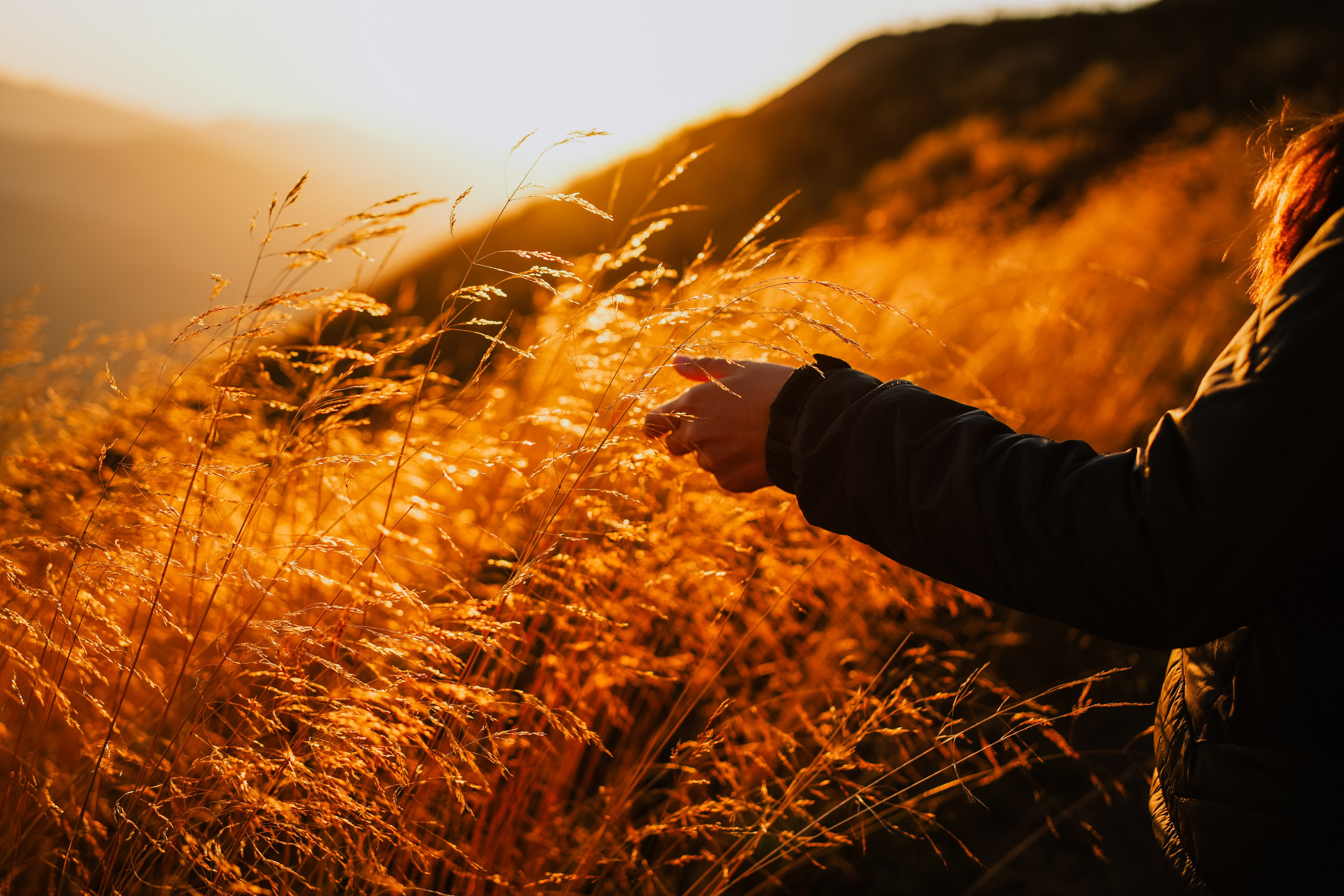 Роза Пик, тропа Турья ✽ Октябрь. Репортажный фотограф | Роза Хутор Красная Поляна Сочи Сириус