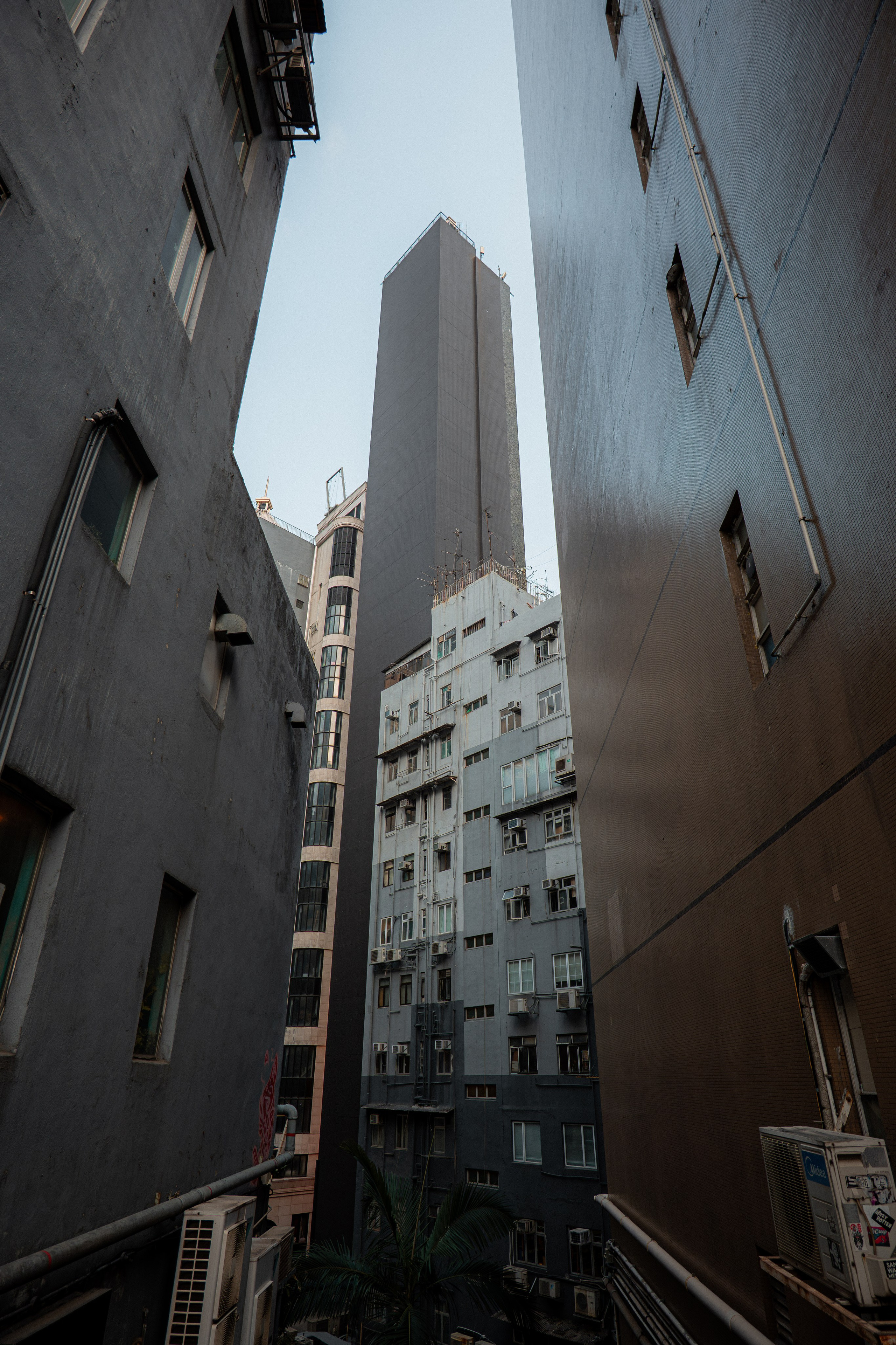 ГОНКОНГ 2026. Фото| Видео продакшн | Александр Ярков