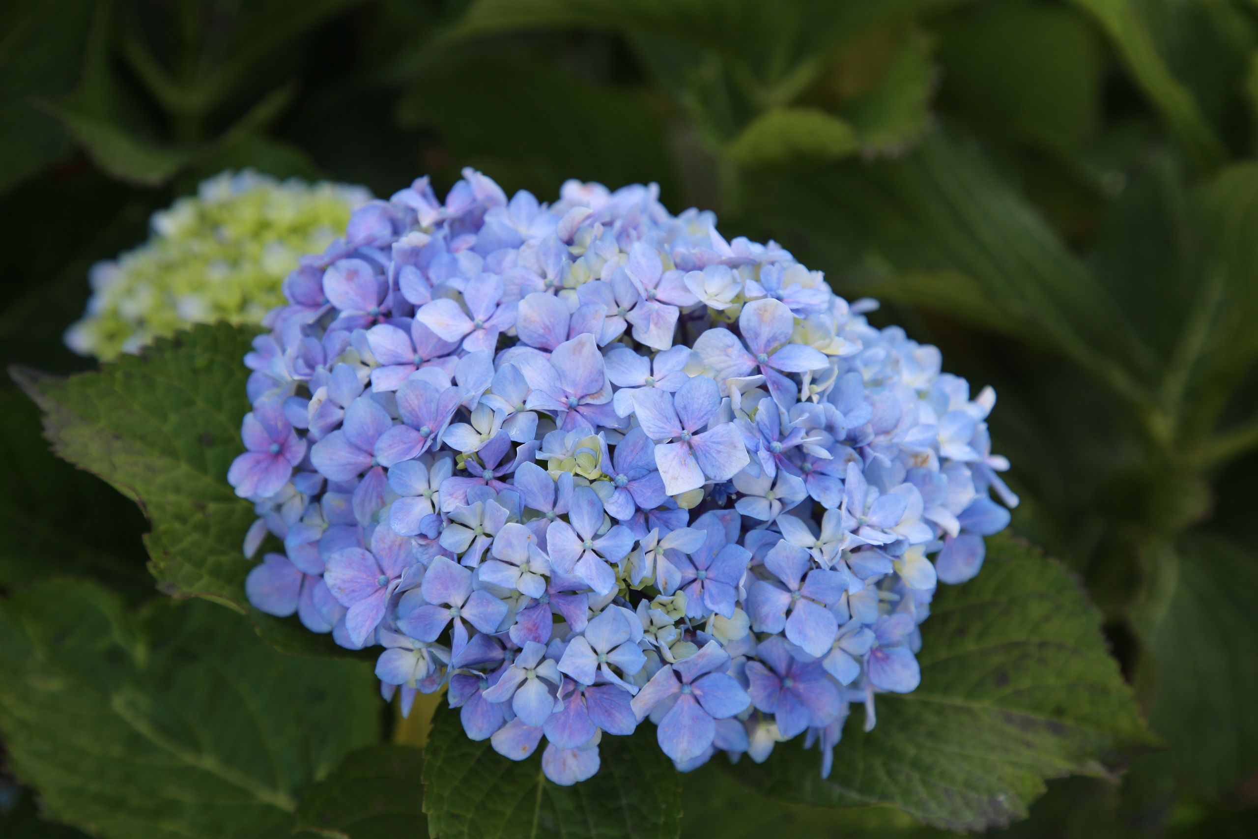Espihnio, Portugal. Andrey Filippov Photographer