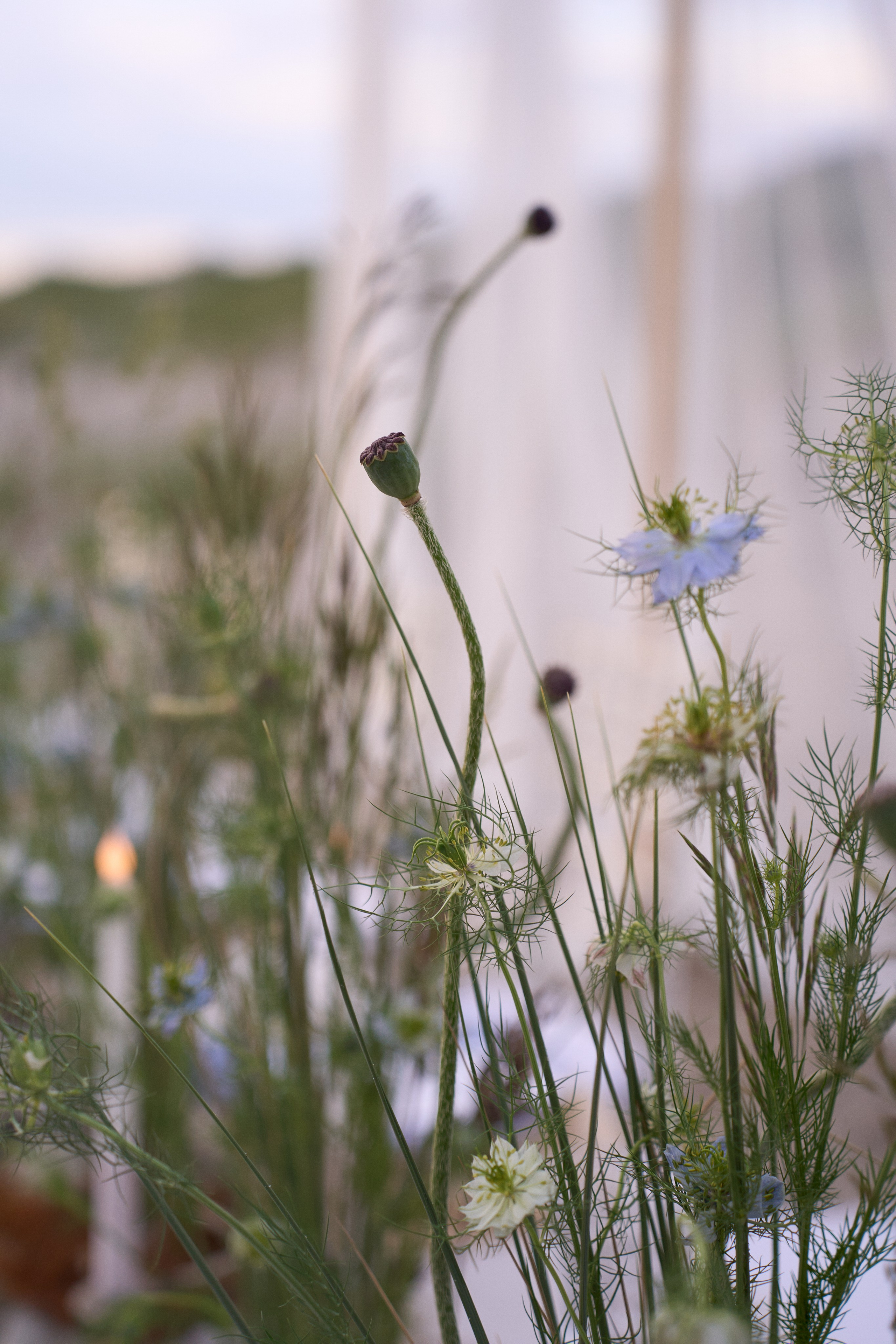 Янтарная свадьба. Калининград. Оформление свадеб, декор свадеб Вера Маркова, Москва