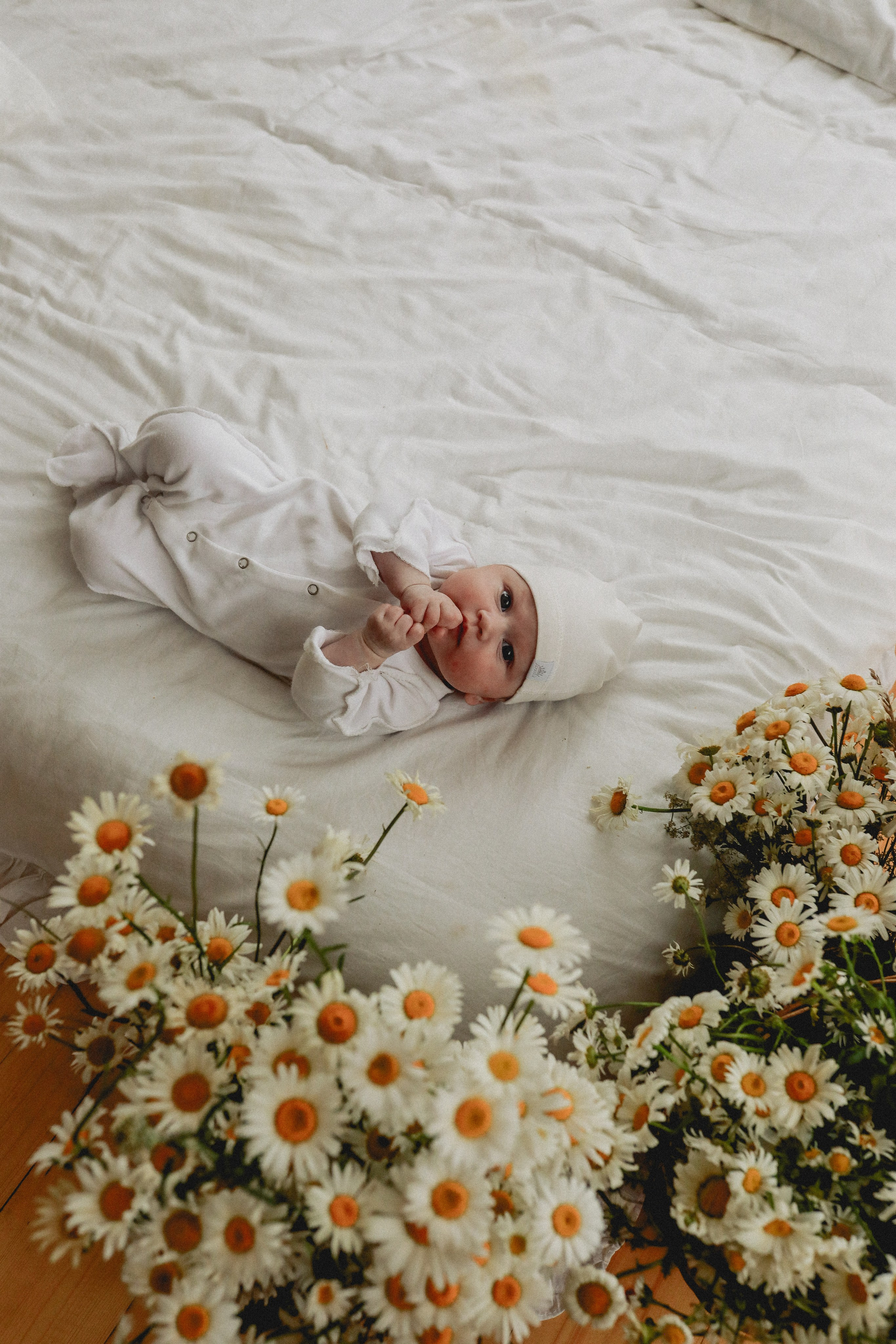 Дочки-матери