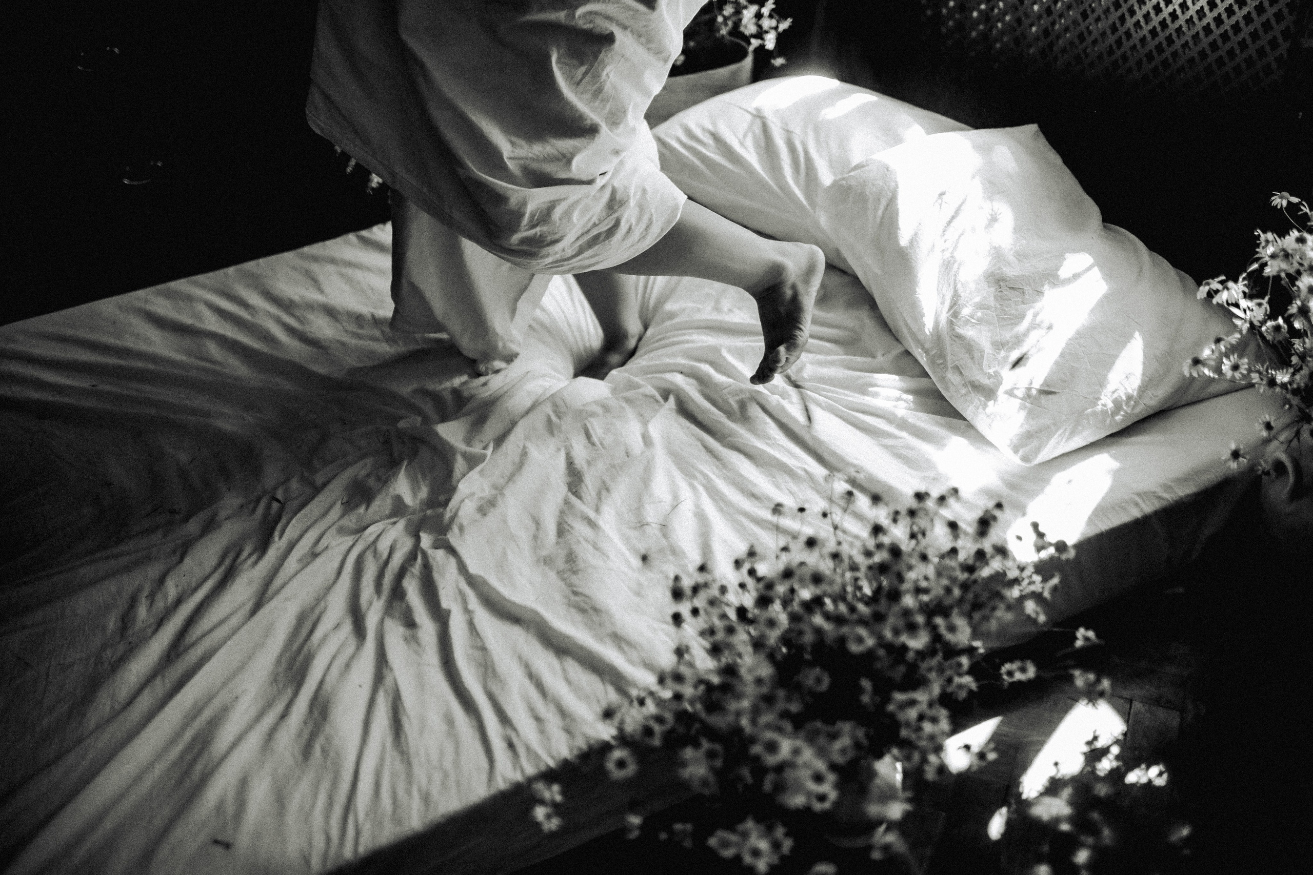 Сон в летнюю ночь | Ромашковое поле