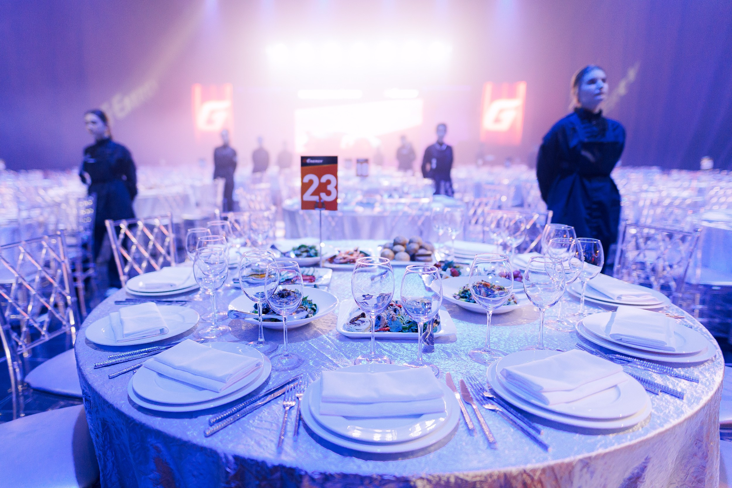 Дистрибьюторская конференция «Газпромнефть-СМ». Алексей Соколов. Фотограф. Санкт-Петербург