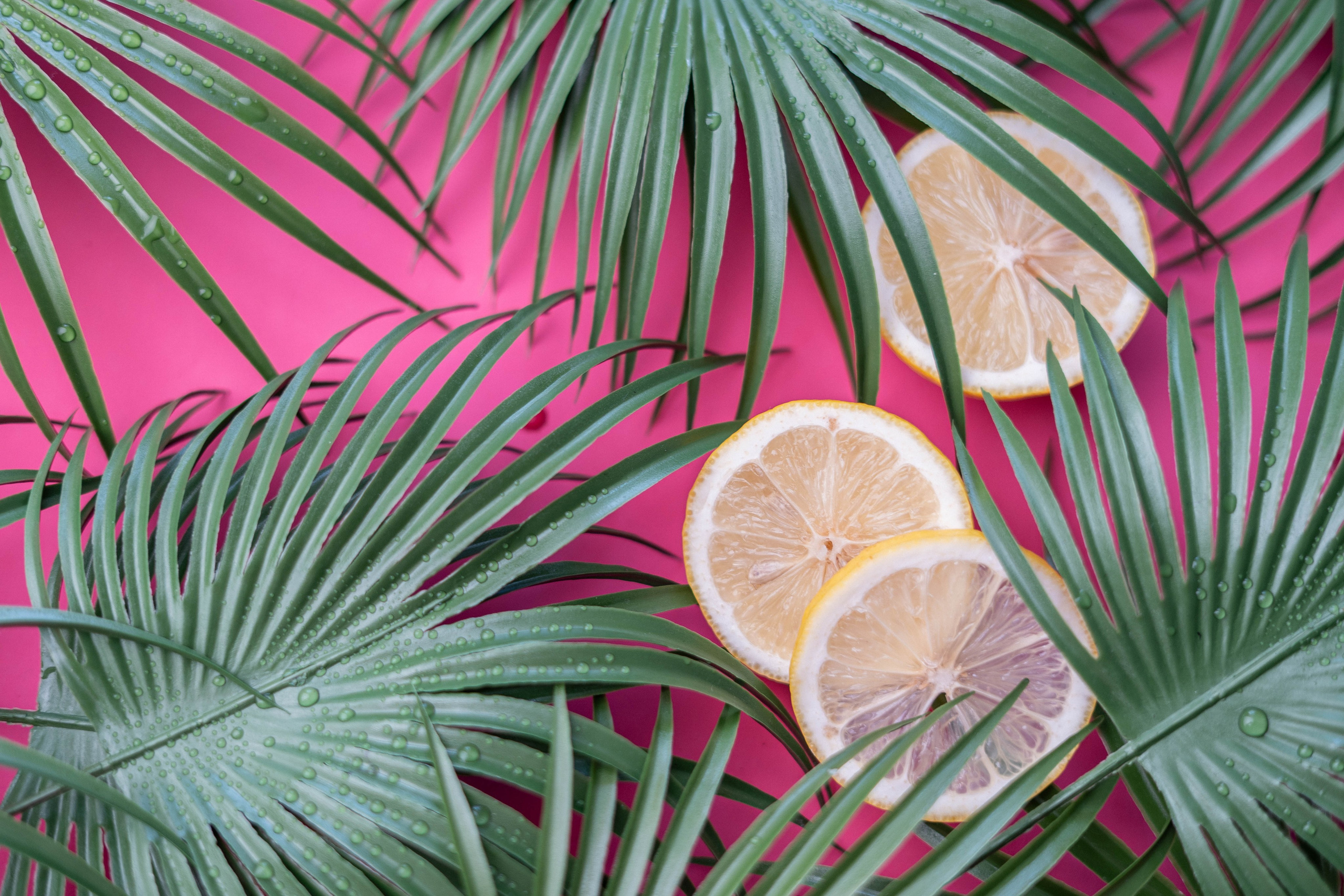 Предметная фотосессия Новосибирск Краснообск фотосессия для бизнеса