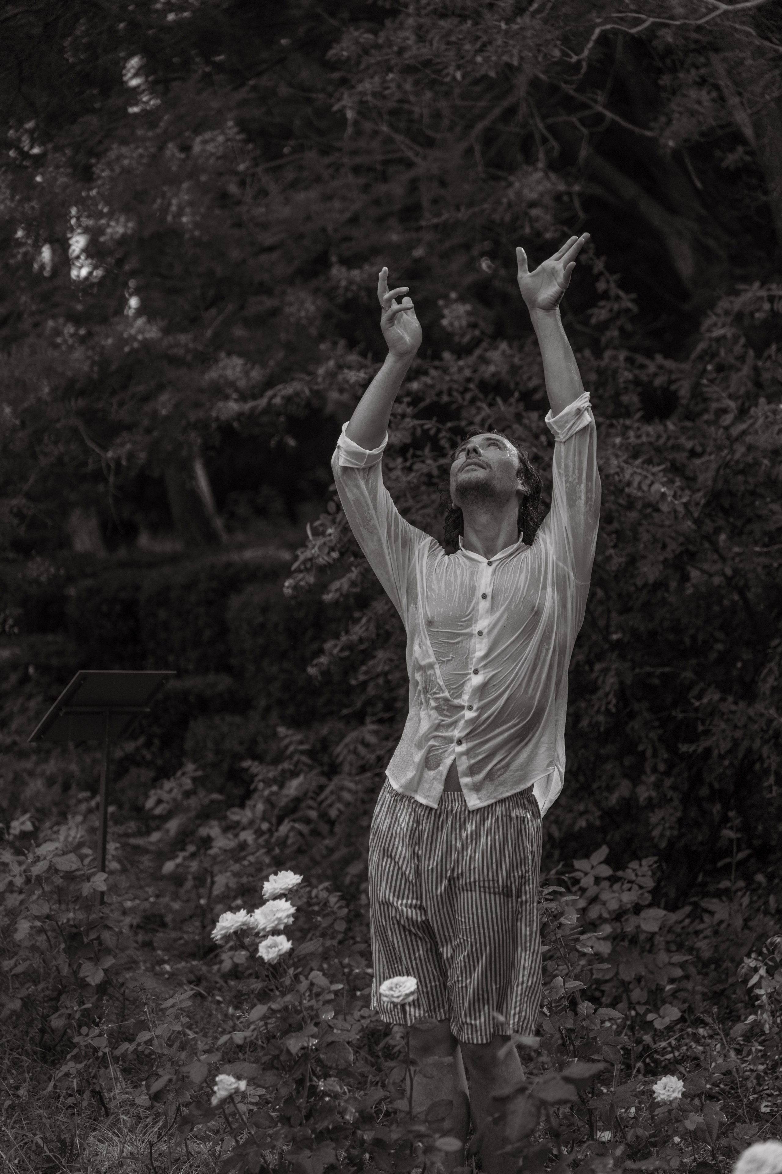 Сбежавшие во дворец. Фотограф и Видеограф Севастополь Крым