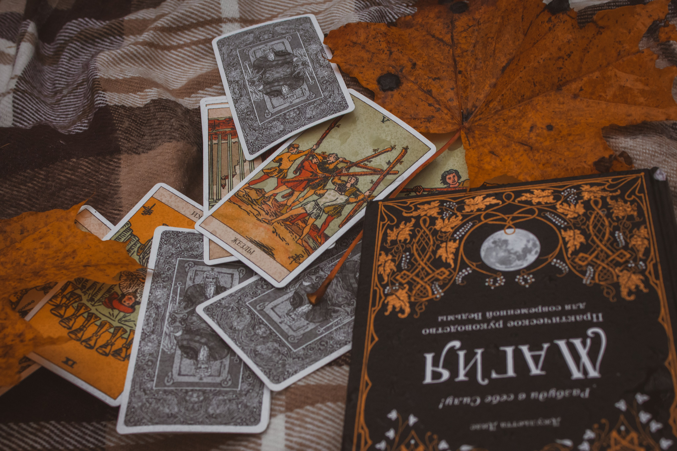 Хэллоуин 2023. Репортажный фотограф Анастасия Рубцова