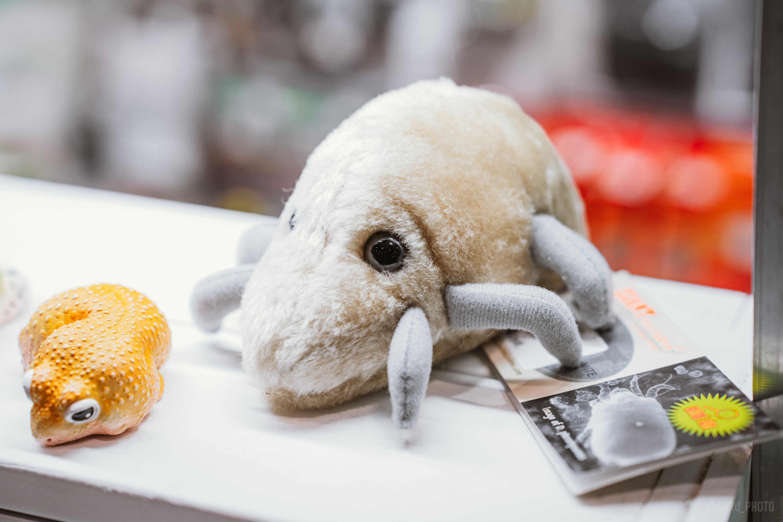 Рептилиум (ручная работа). Репортажный фотограф Анастасия Рубцова