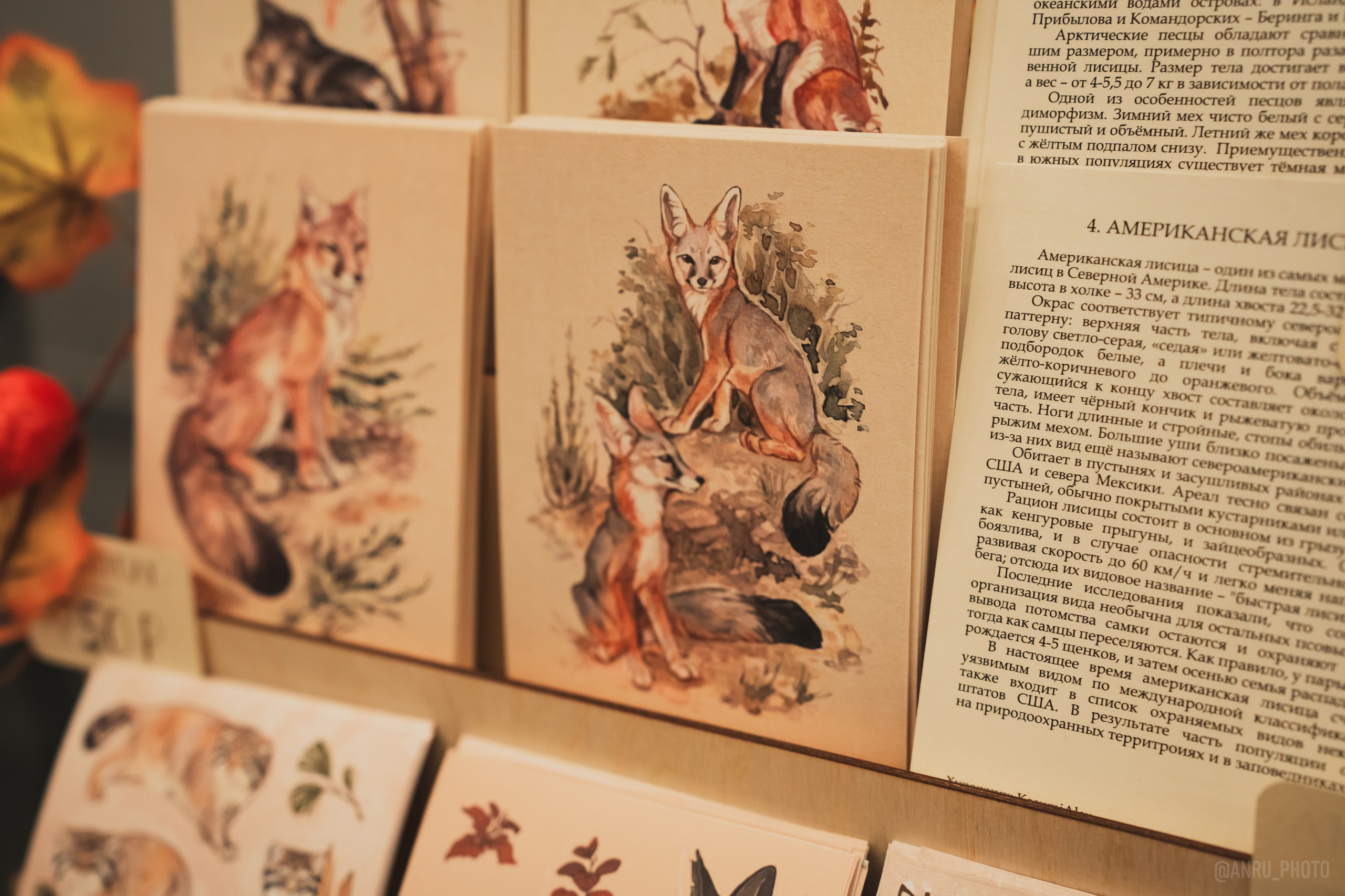 Fox Family fest. Репортажный фотограф Анастасия Рубцова