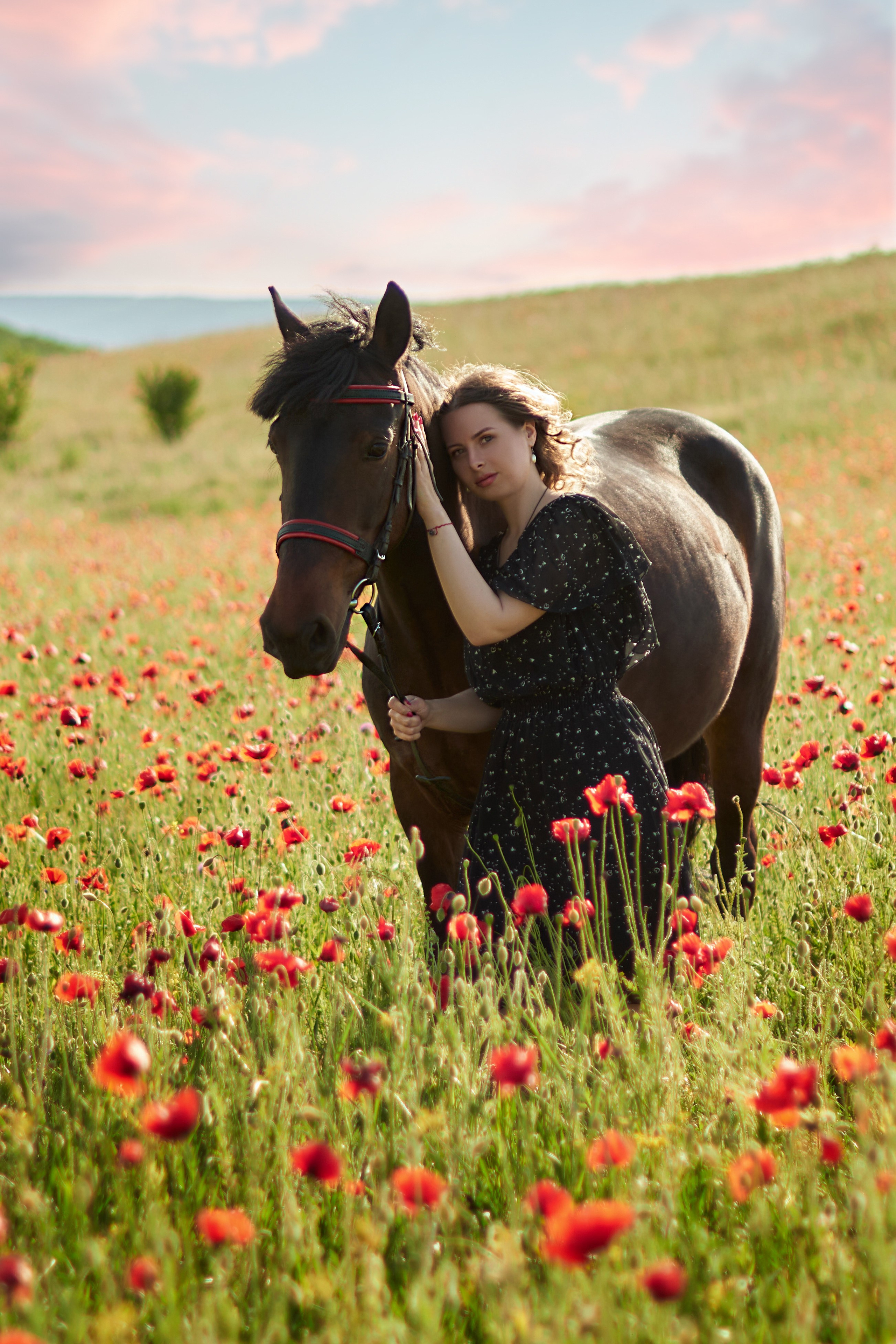 Фотосессия с лошадью Севастополь. Фотограф в Севастополе