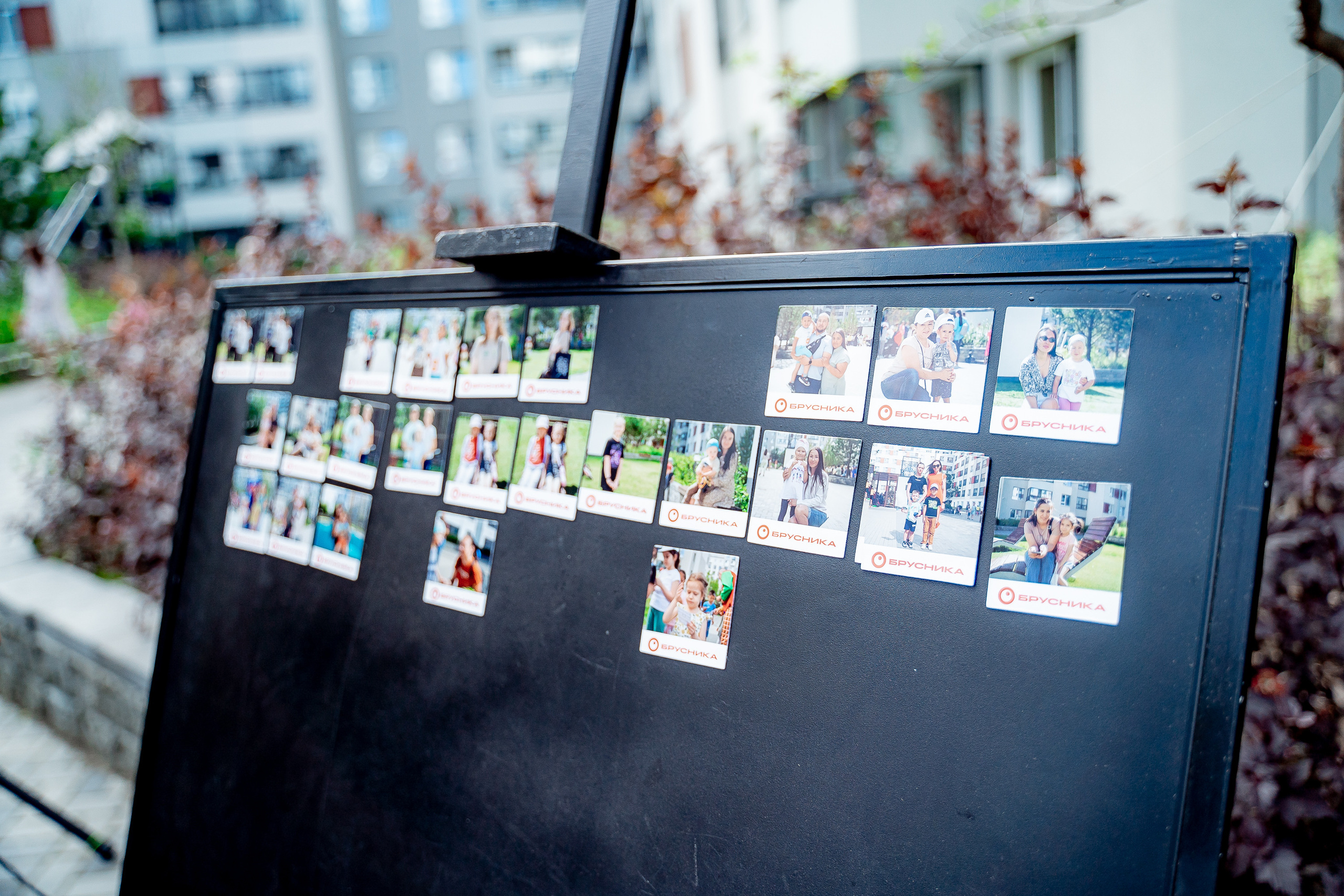 Лето в Novin. Сергей Кошкин. Репортажная и ивент-фотография в Сургуте