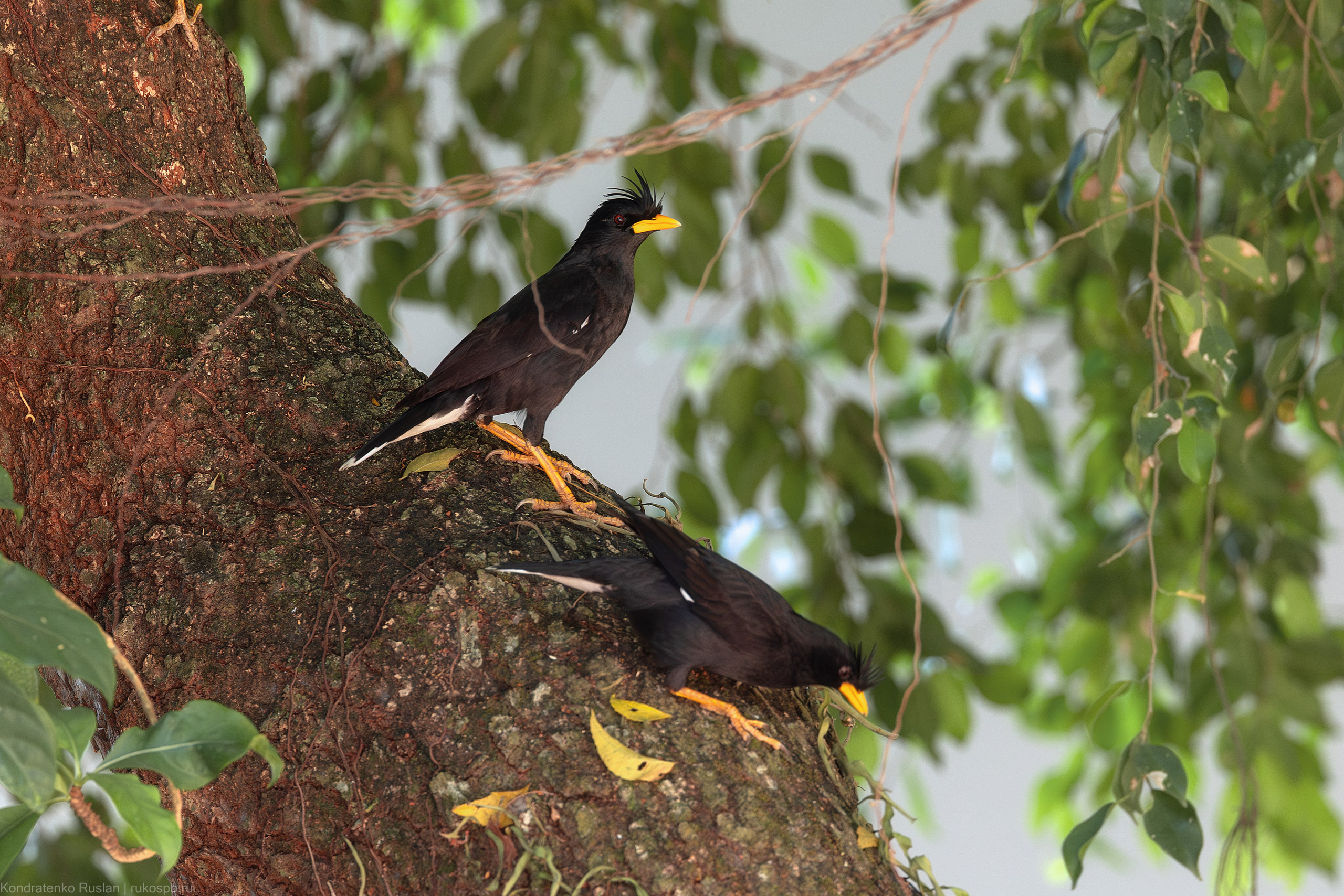 Большая майна. Архитектурный и пейзажный фотограф Кондратенко Руслан, Санкт-Петербург