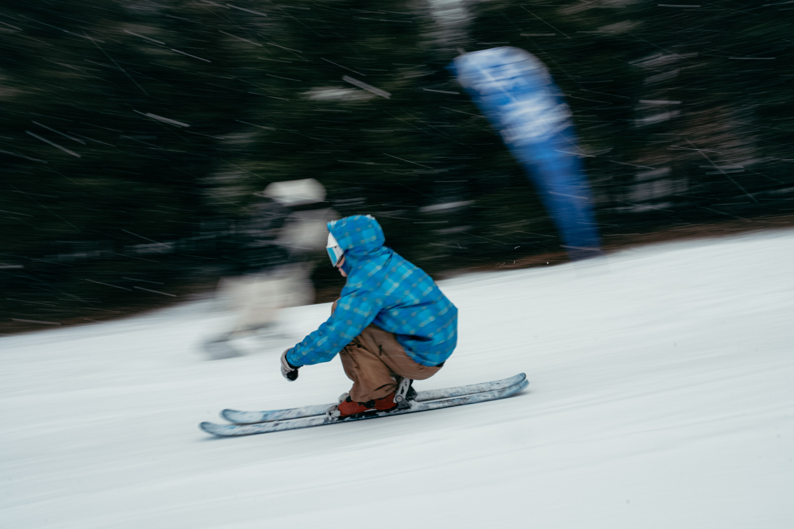 GORILLA IMBA AIR BAG AK-BULAK 21.02.2026. Gorillaenergymedia