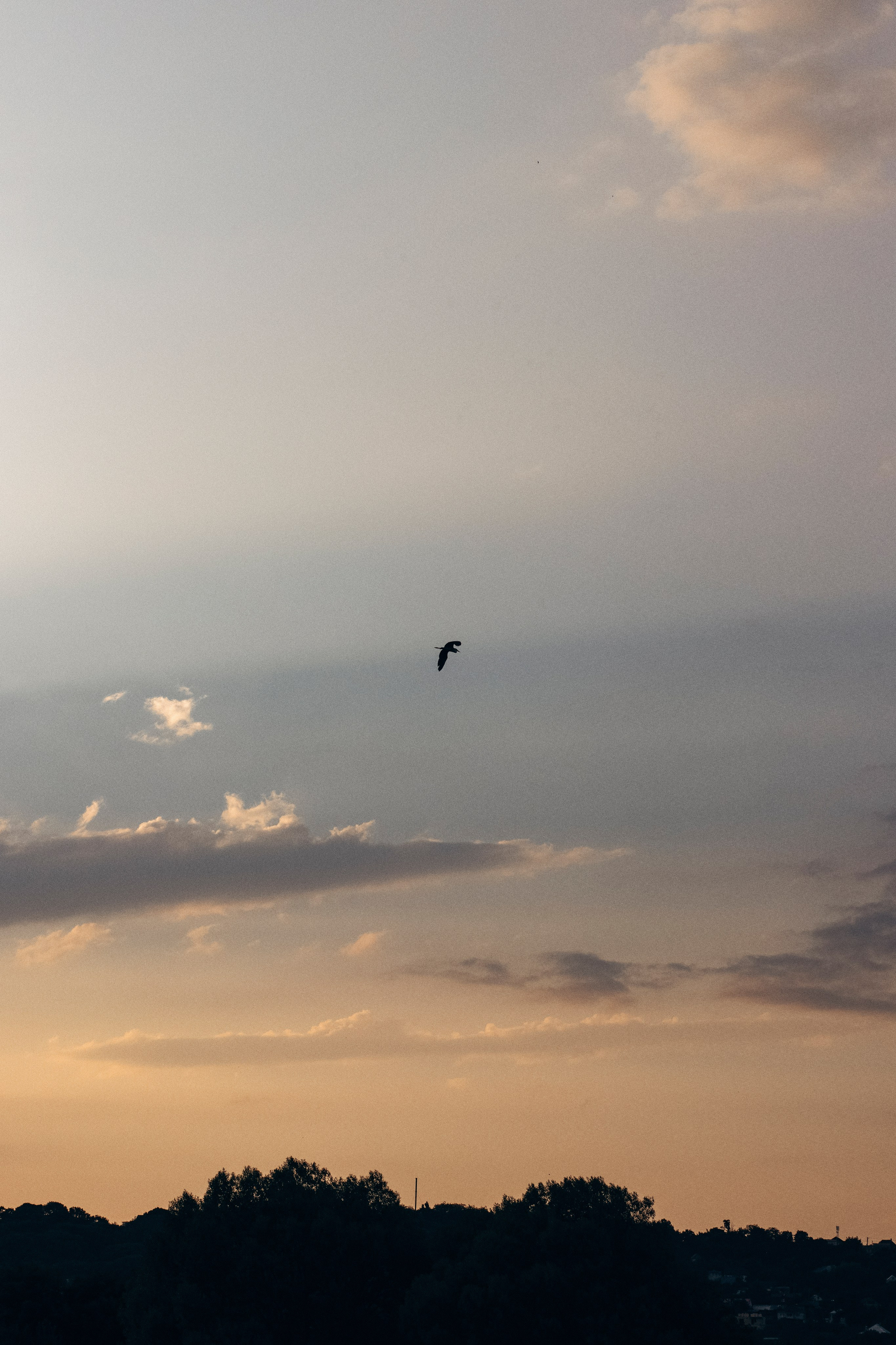 Виктория и Алексей. Главная