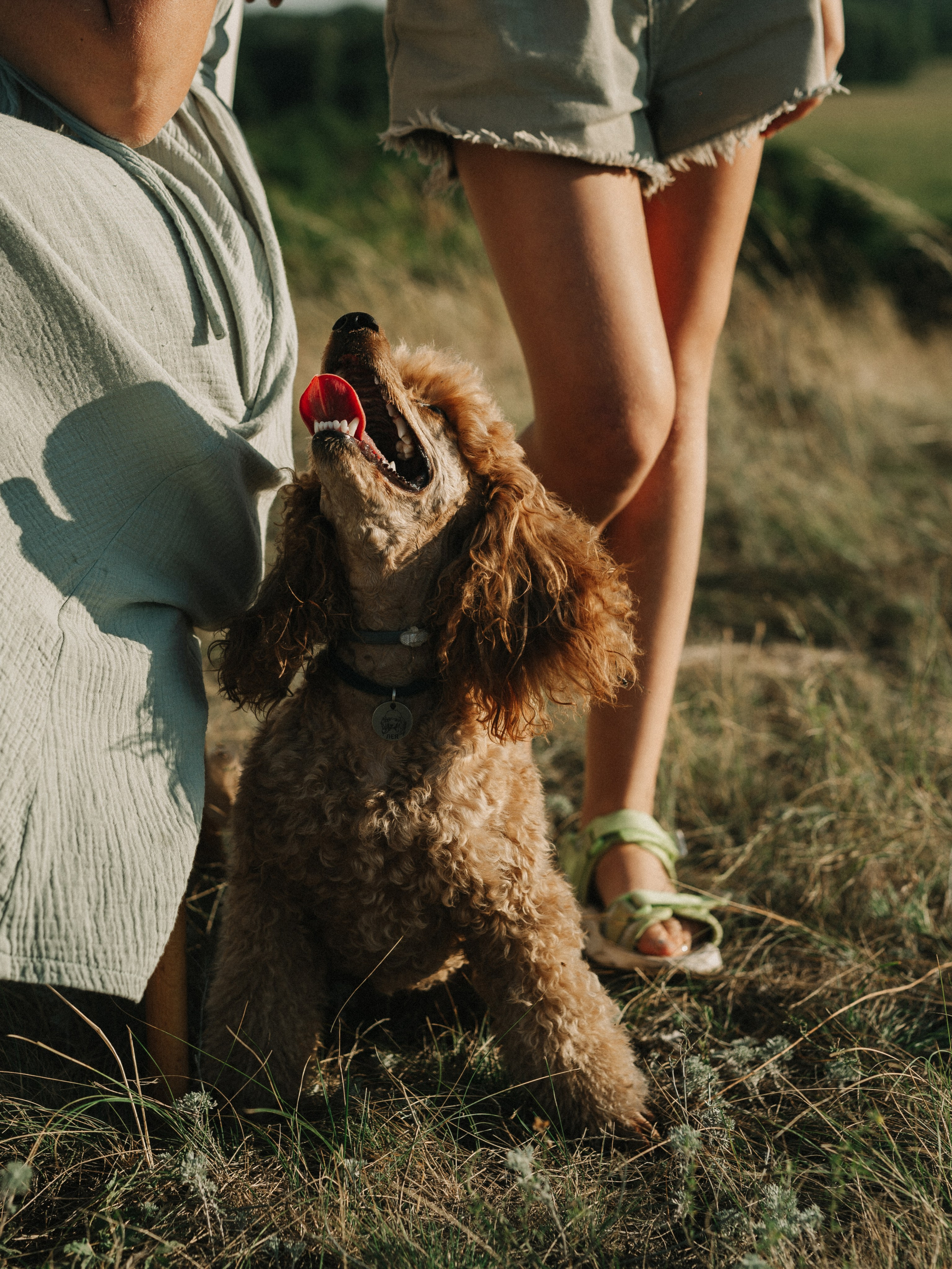 Все вместе!. Свадебный и семейный фотограф в Самаре Надежда Раскина