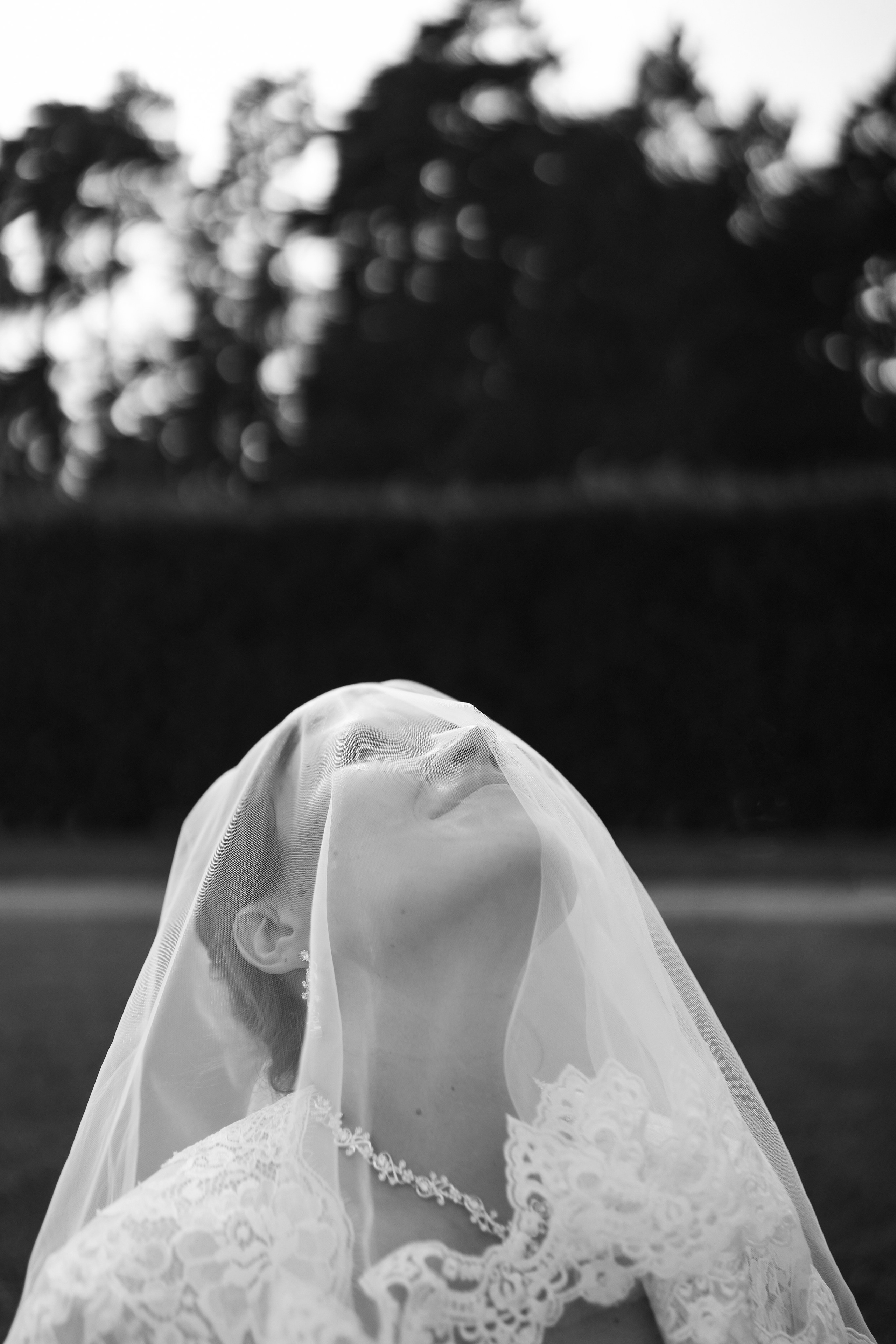 Галина и Алексей. Фотограф Москва Татьяна Гайдаржи