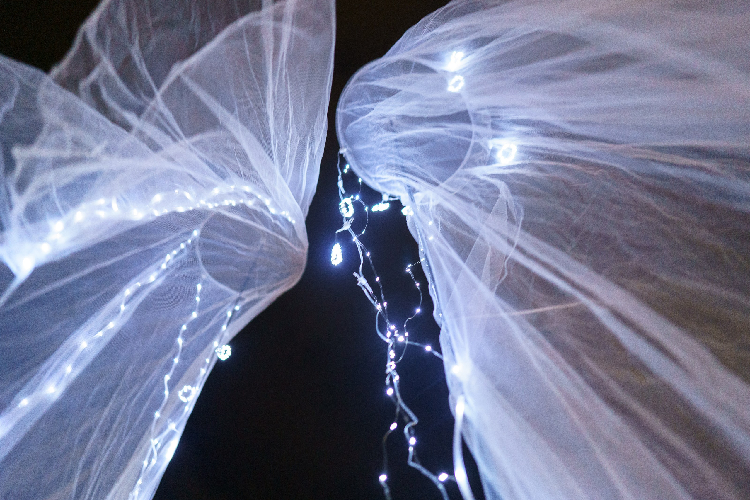 Фотографии музыкального фестиваля Дикая Мята 2025. Фотограф Николай Прокофьев модельные тесты в Москве