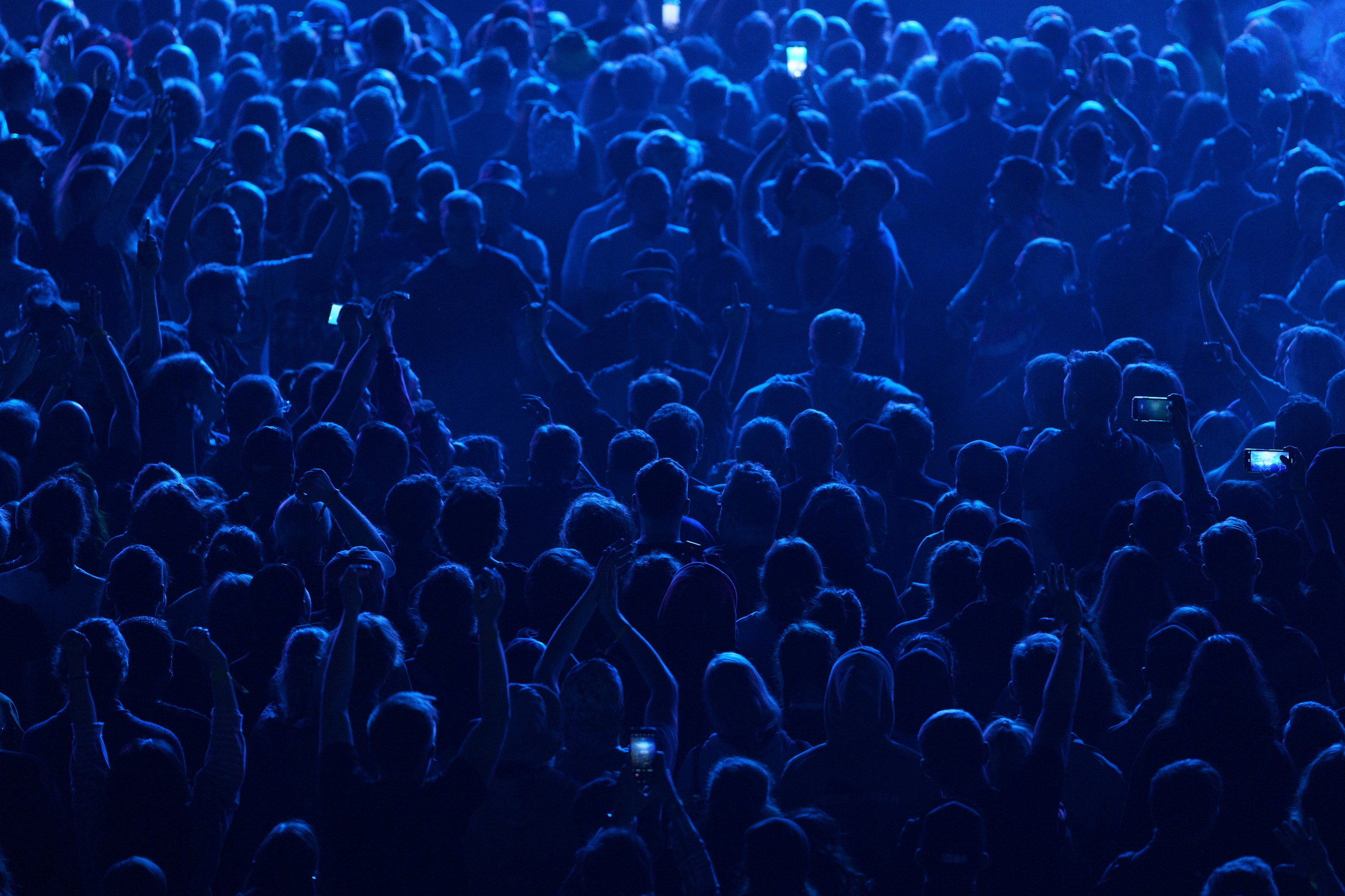 2023 Дикая Мята. Фотограф Николай Прокофьев модельные тесты в Москве