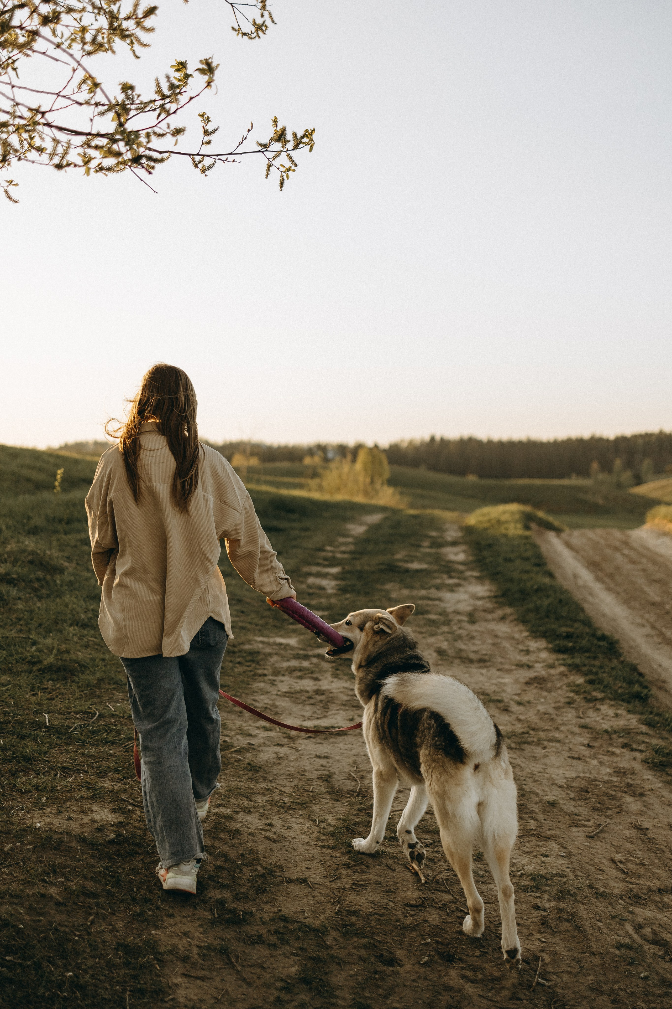 Саша и Зельда. Фотограф — Анималист | Санкт-Петербург