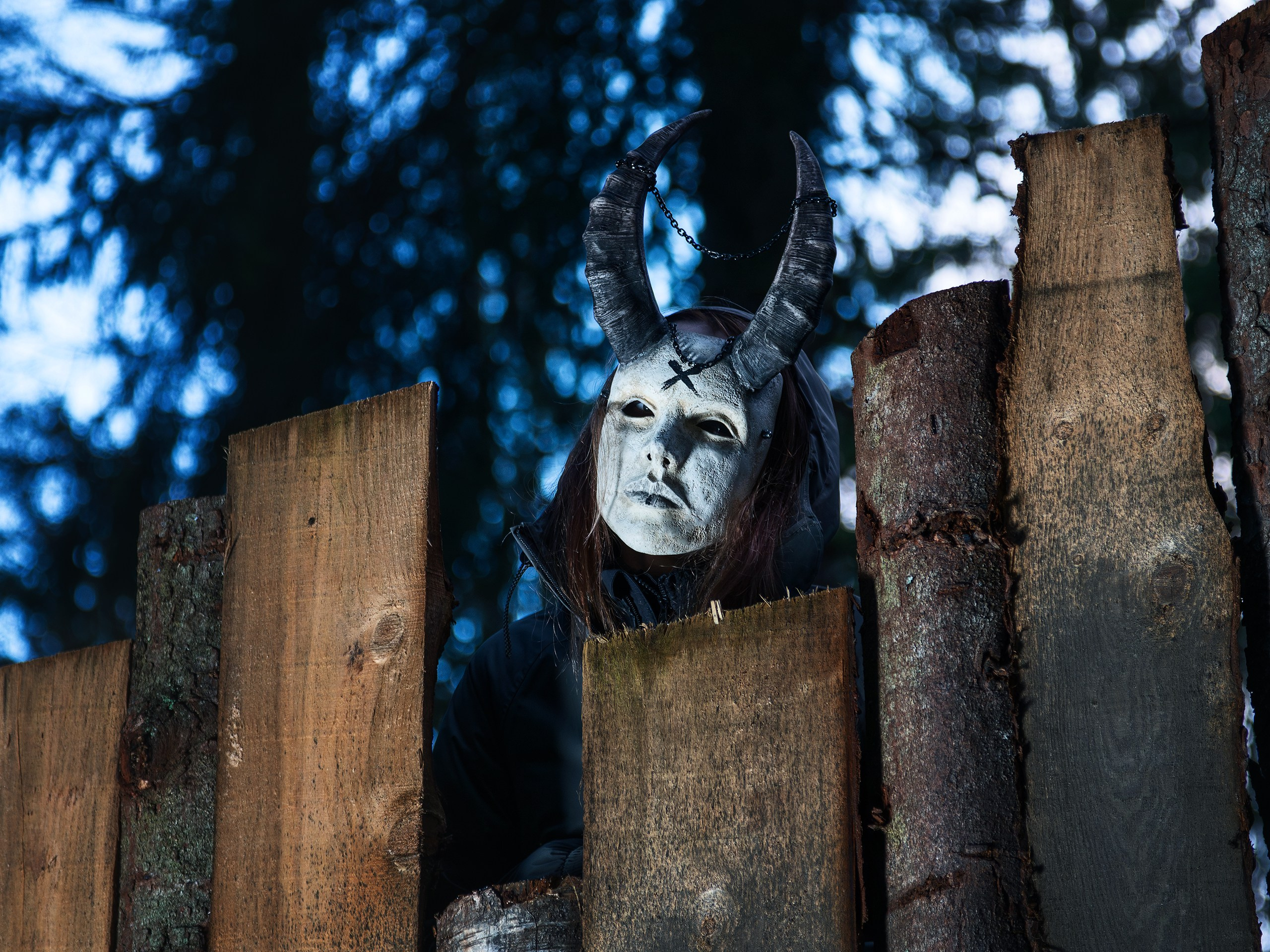 Хэллуин. Фотограф анималист Никита Натальный