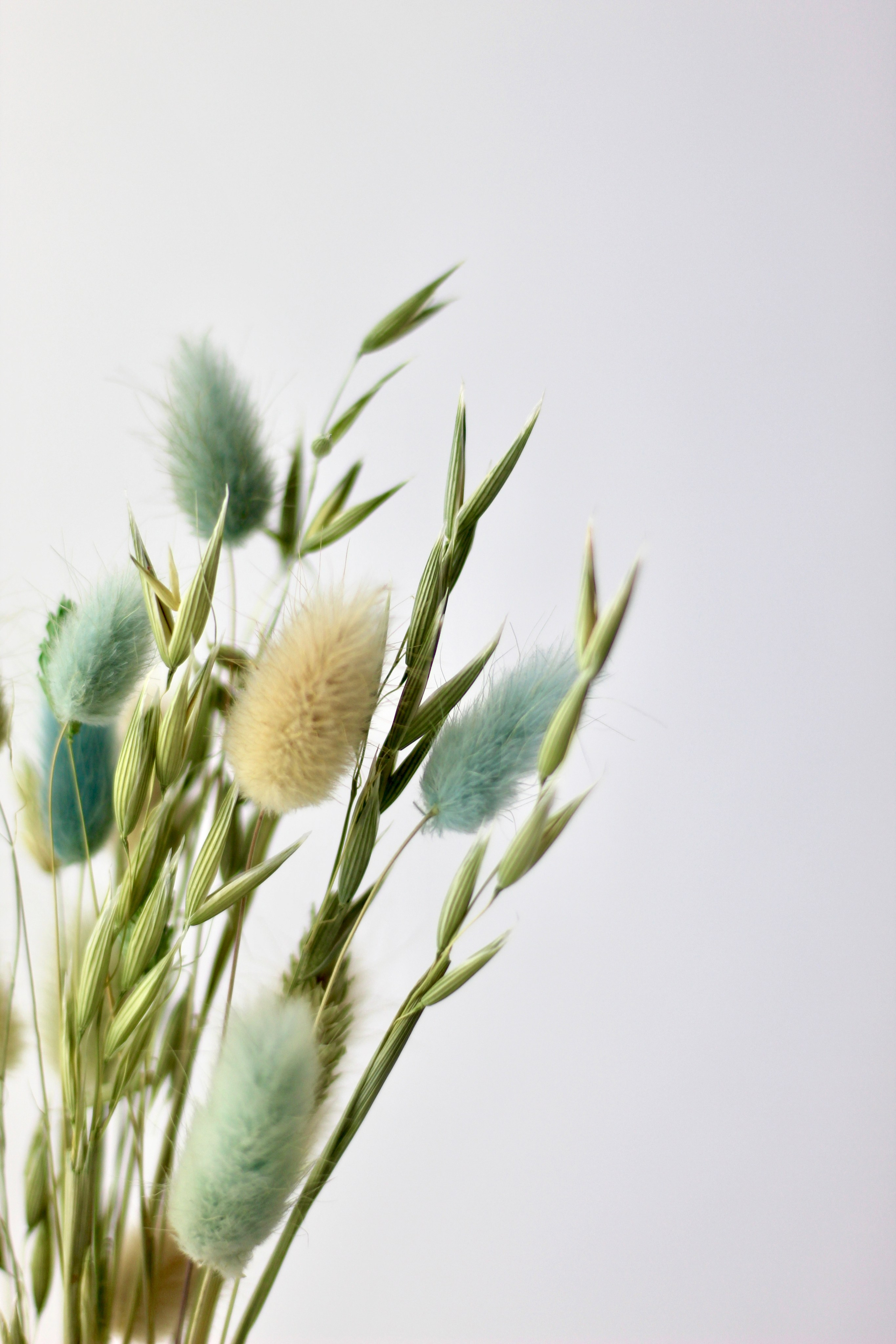 ПРЕДМЕТНАЯ фотосъемка. Tuspukto