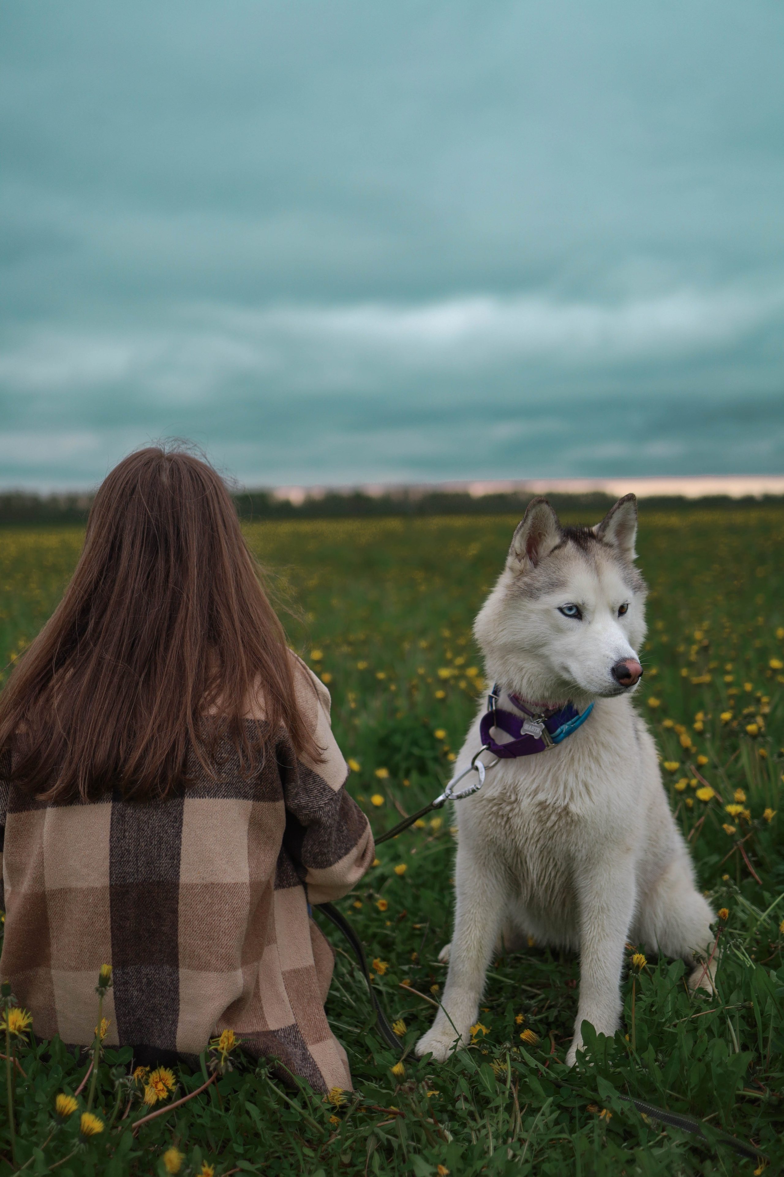 Шанти и Катя. Фотограф-анималист в Санкт-Петеребурге Титова Алиса