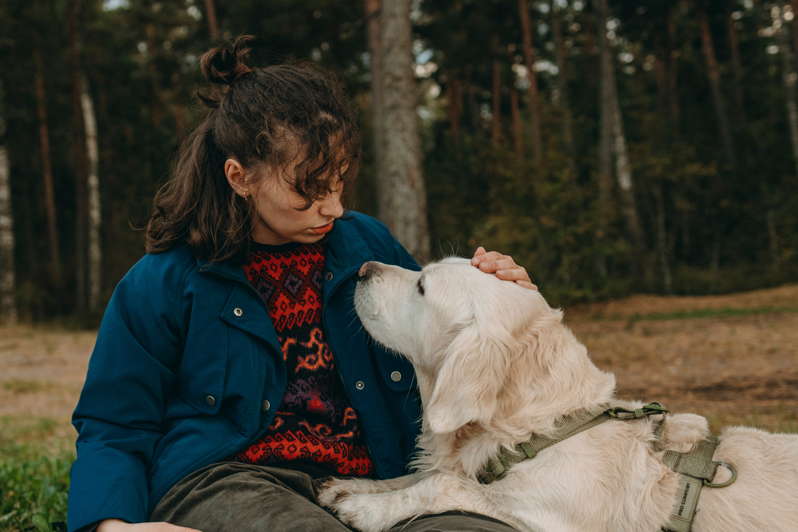 Прогулка Насти с Арчи и Арагоном. Фотограф-анималист в Санкт-Петеребурге Титова Алиса