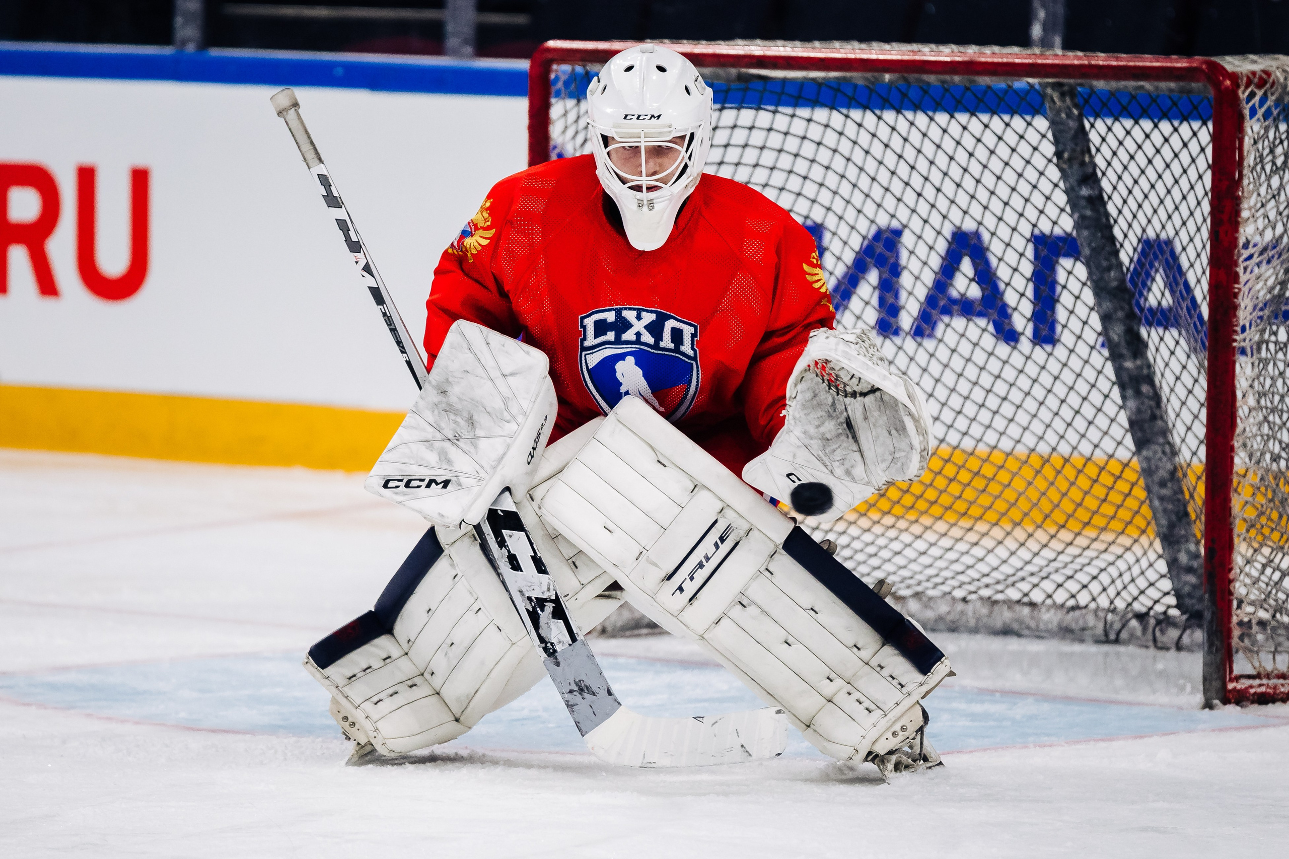 Тренировка сборной СХЛ // 14.02.25. Денис Прохоров Фотограф в г. Магнитогорск