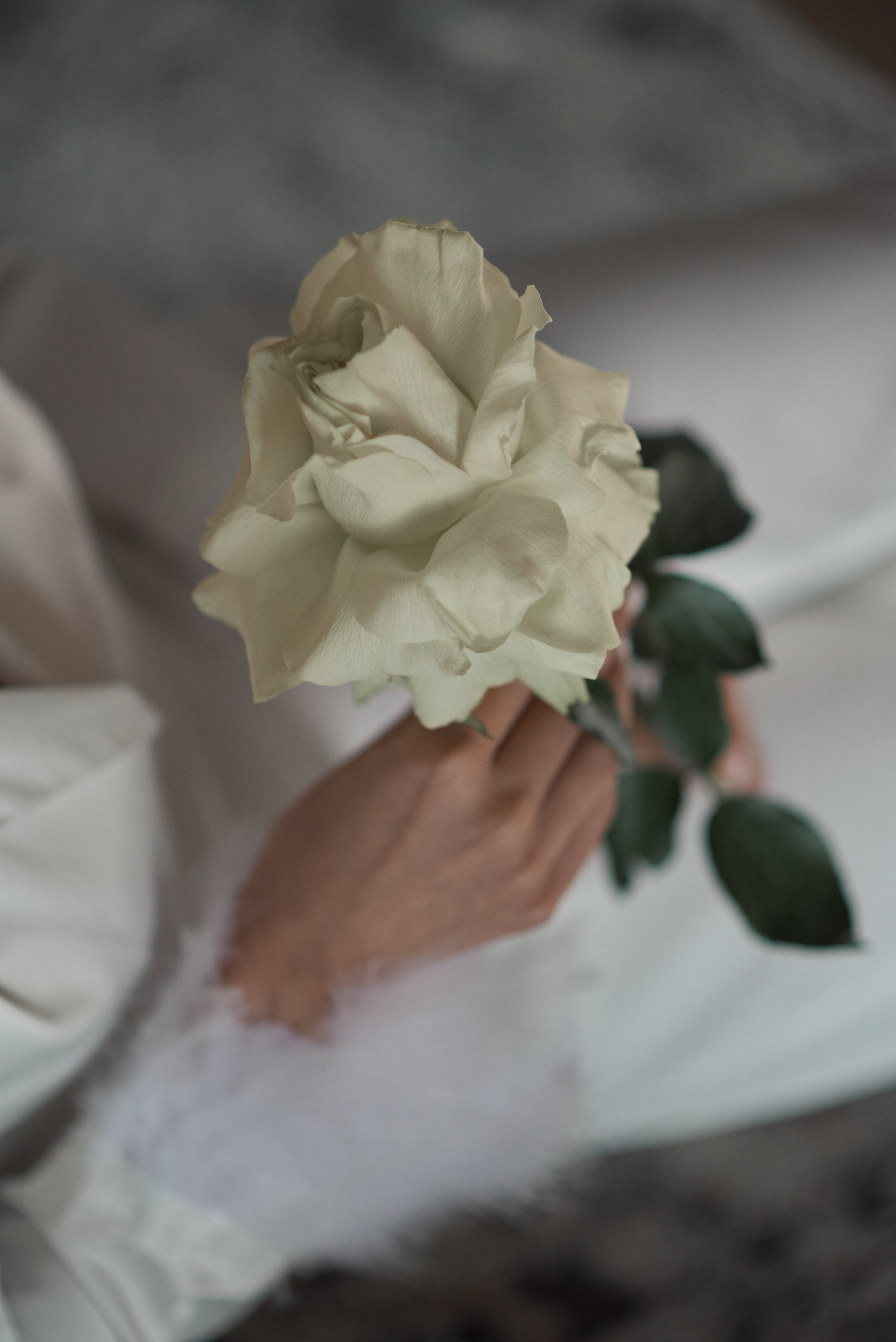 Марина и Влад. Свадебный фотограф Александр Браво