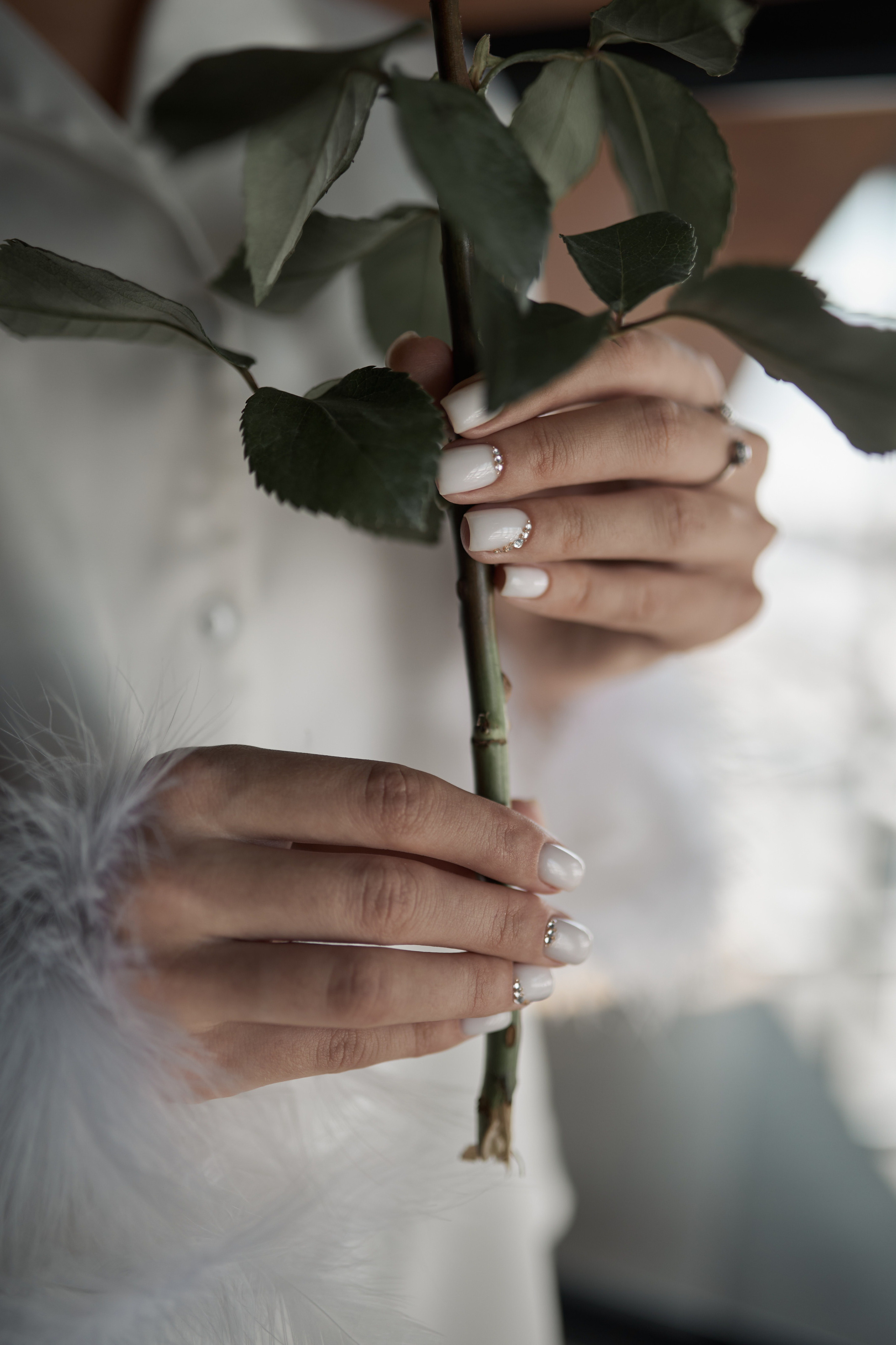 Марина и Влад. Свадебный фотограф Александр Браво