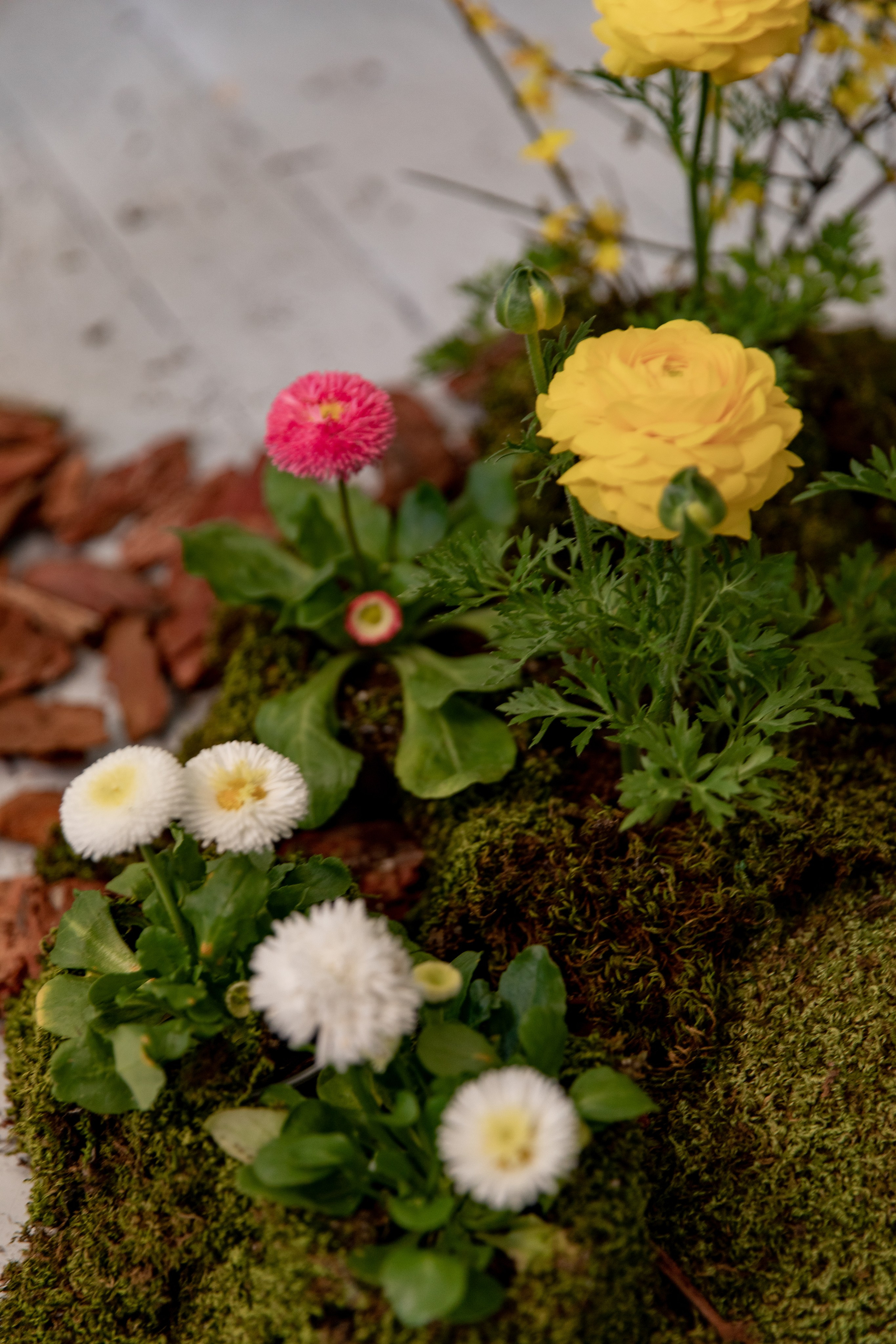 SPRING INSPIRATION. СВАДЕБНЫЙ ФОТОГРАФ В КРЫМУ И СЕВАСТОПОЛЕ