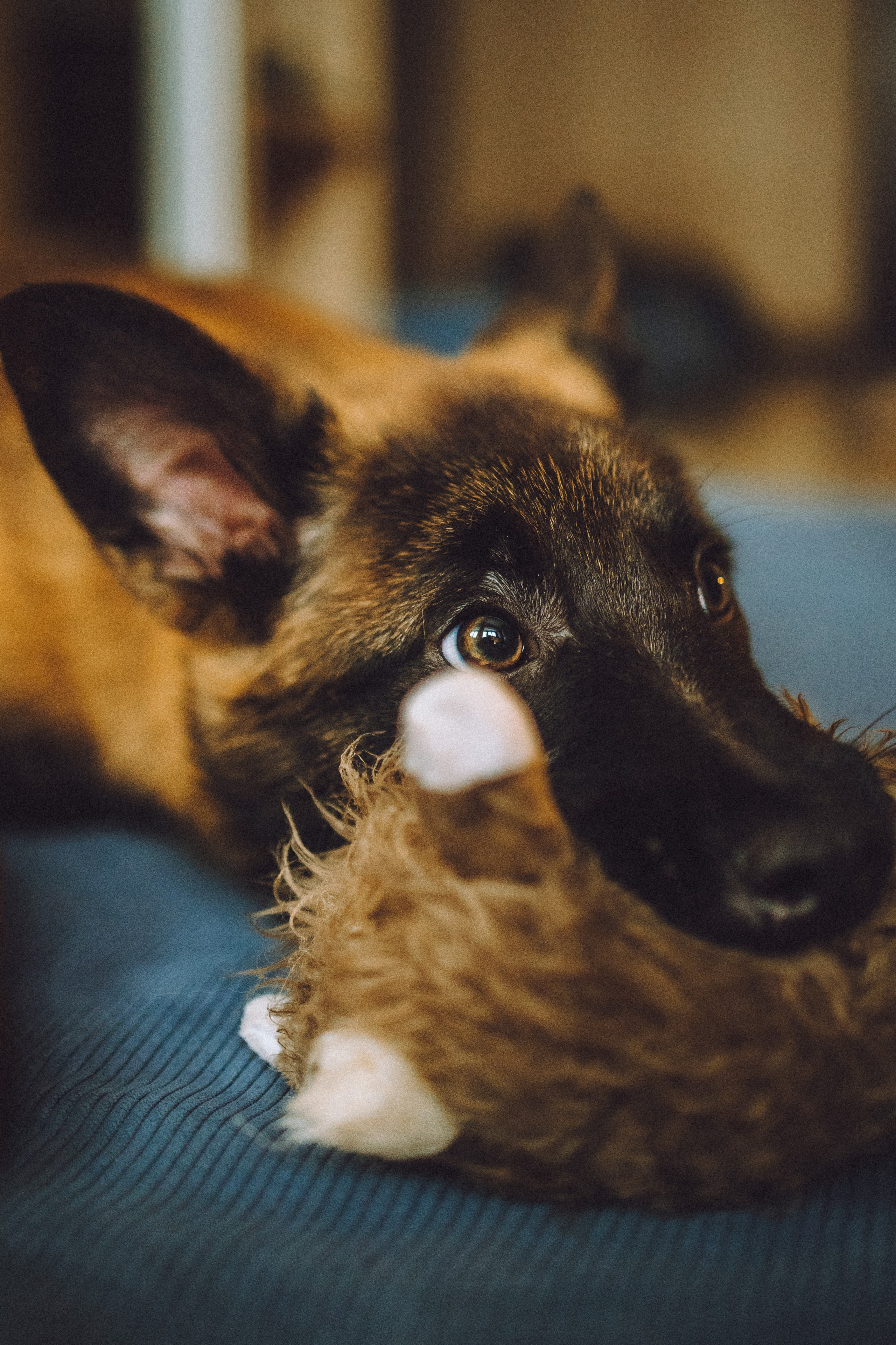 Ира, Андрей, Бэлла и Панда