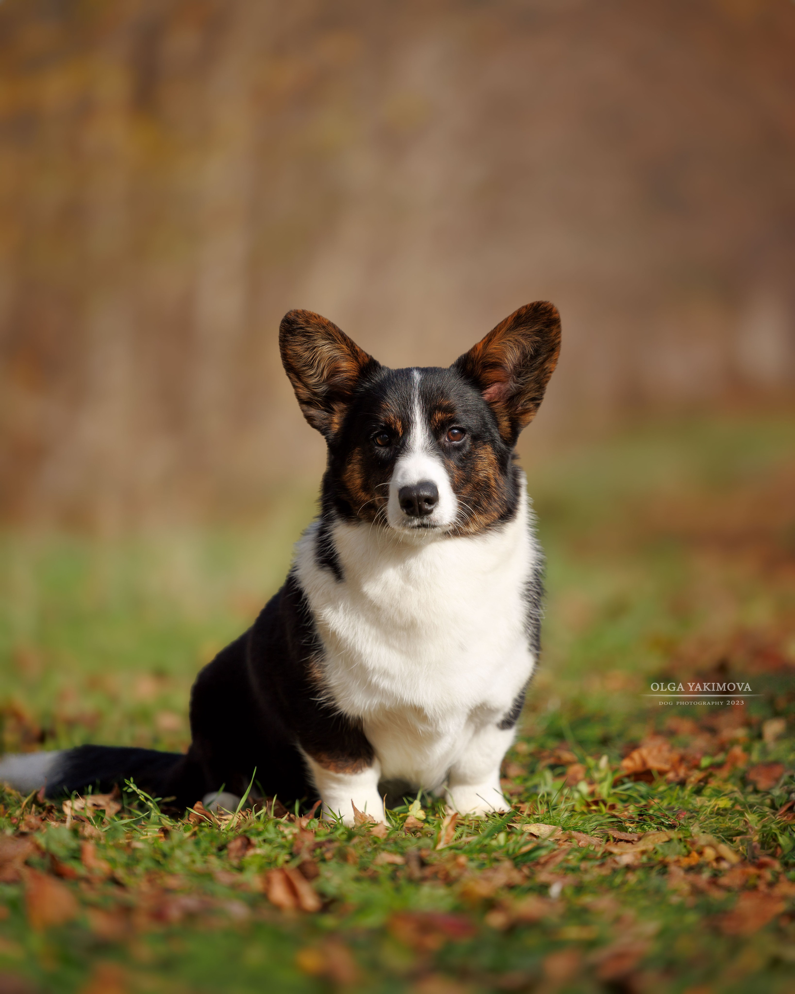 Экстерьер. Фотограф