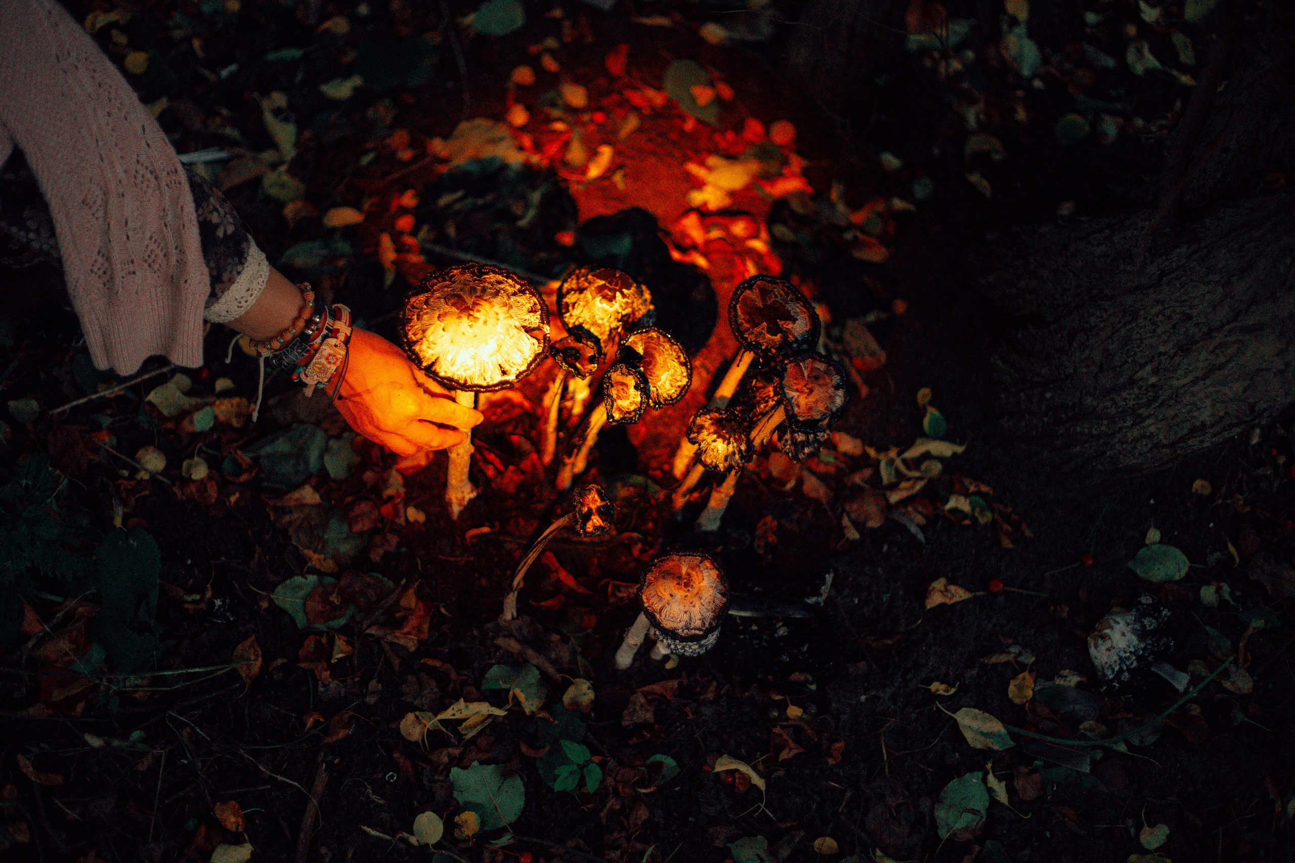 Лес. Колдунья. И волшебные грибы. Арт-фотограф Крис Л. в Тобольске: портрет, семейные, свадьбы