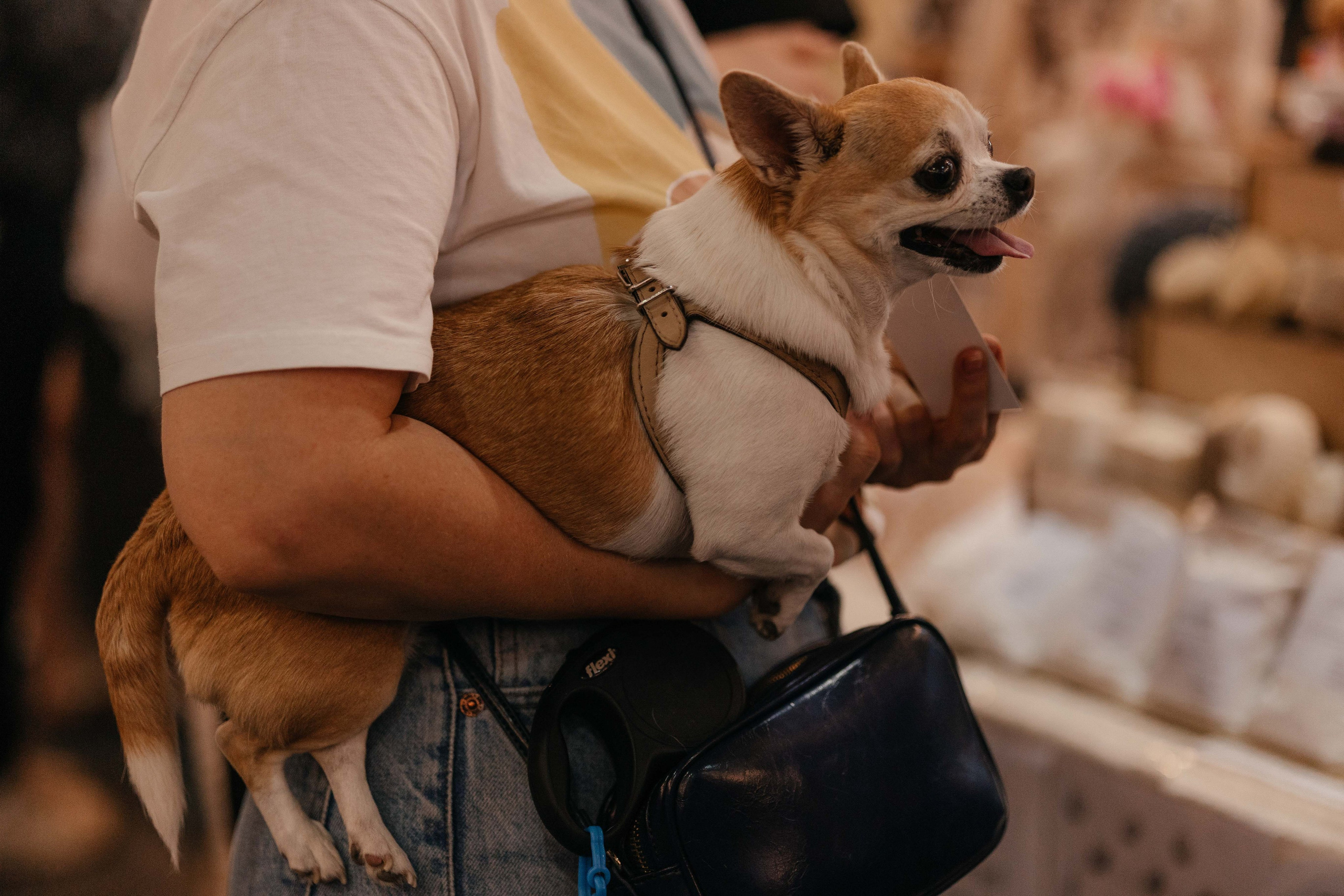 Ярмарка Омаркет. Фотограф Крохин Олег