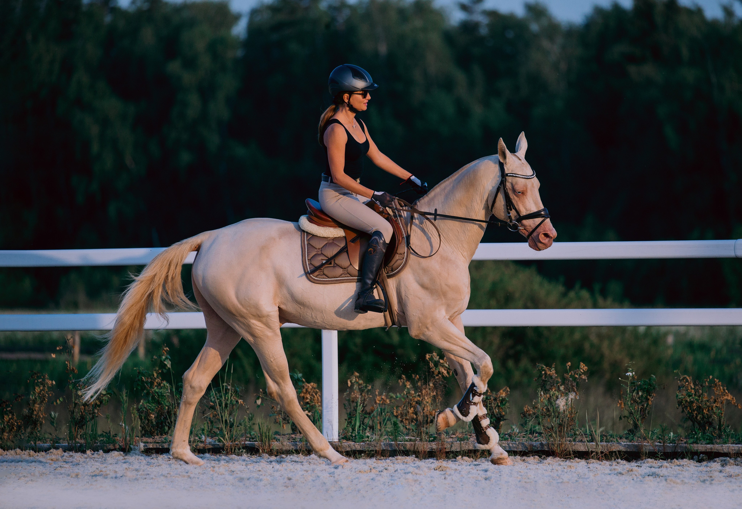 Тренировки. Фотограф-анималист Ксендзова Кристина