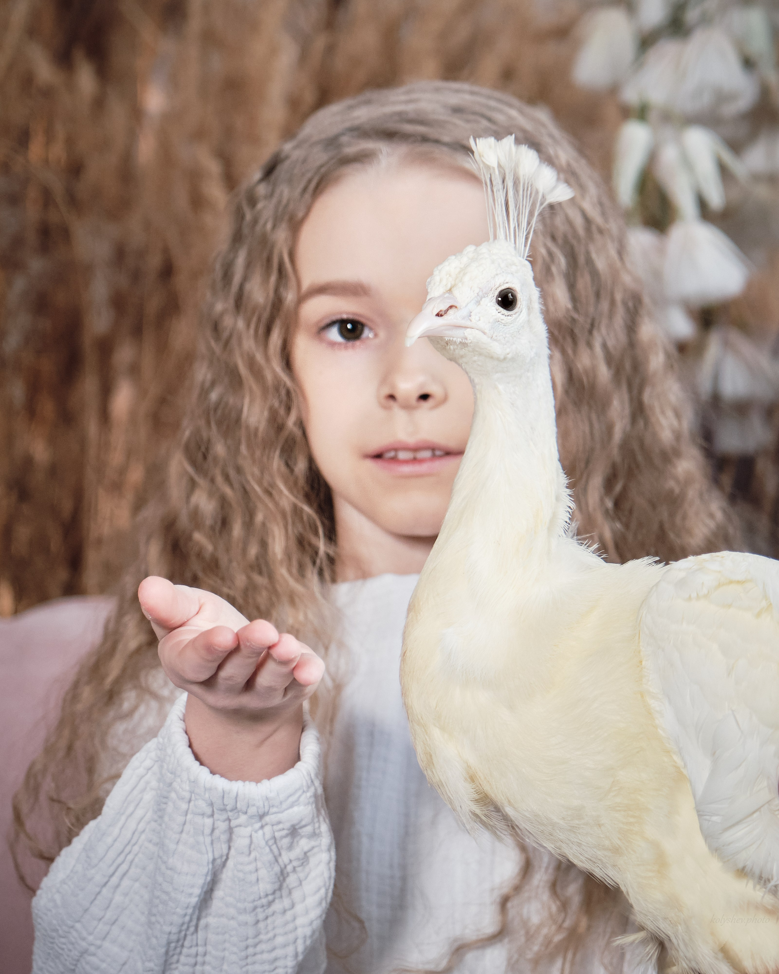 портрет с павлином крупным планом