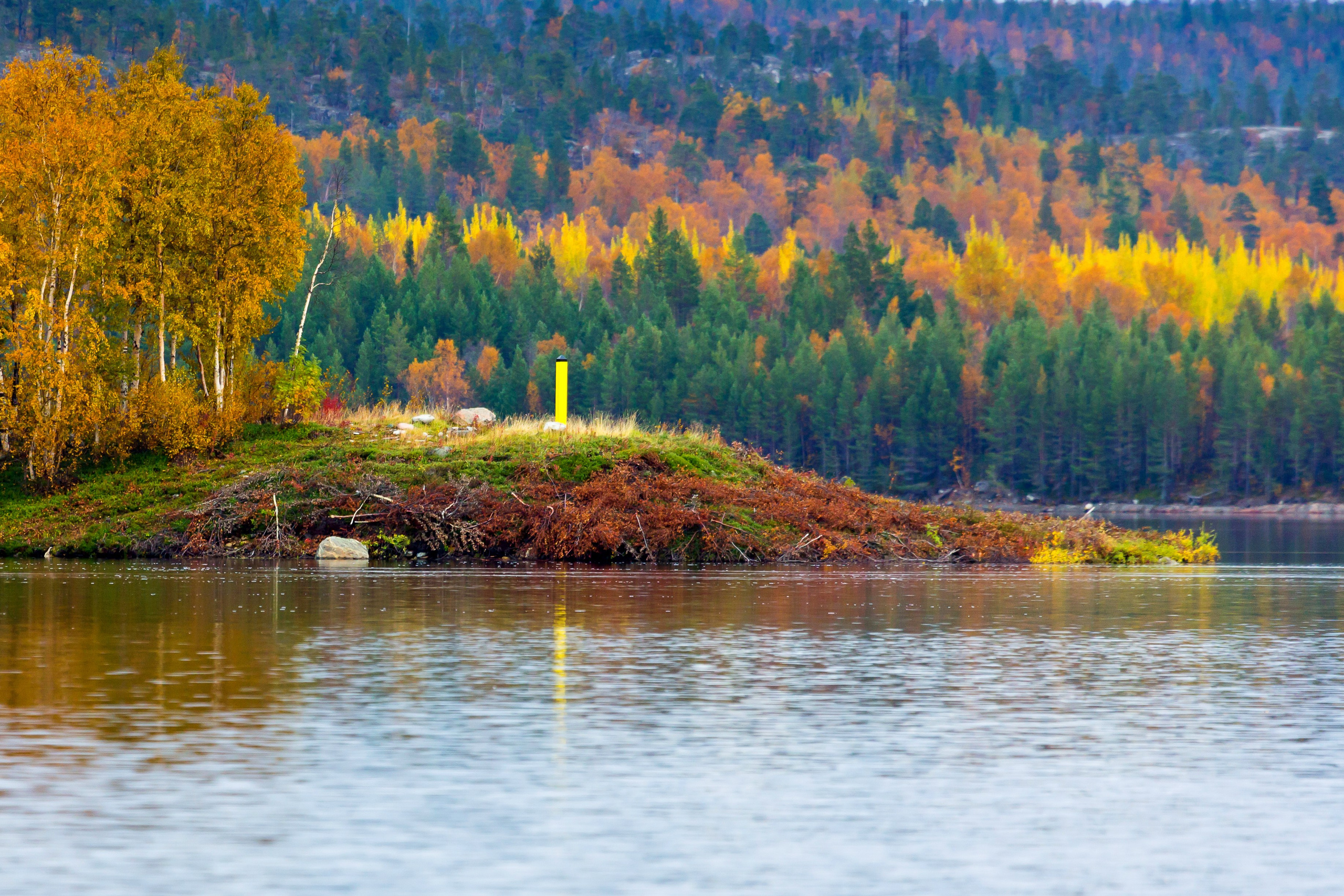 Река Паз. Пейзажи Крайнего Севера. Баренцево море, Рыбачий, Средний, Немецкий