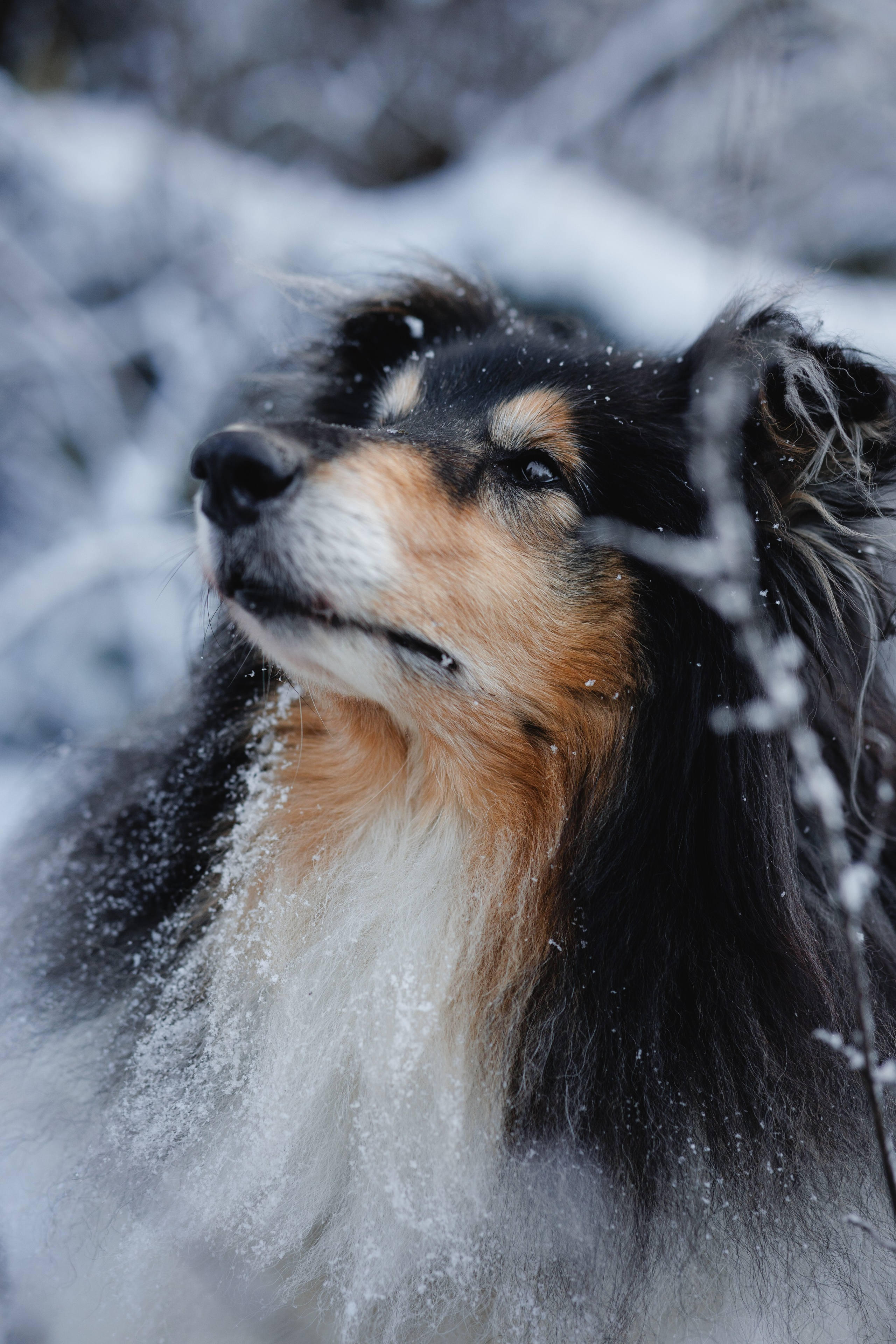 Дарья и Зора. Фотограф в Санкт-Петербурге Алёна Губинская