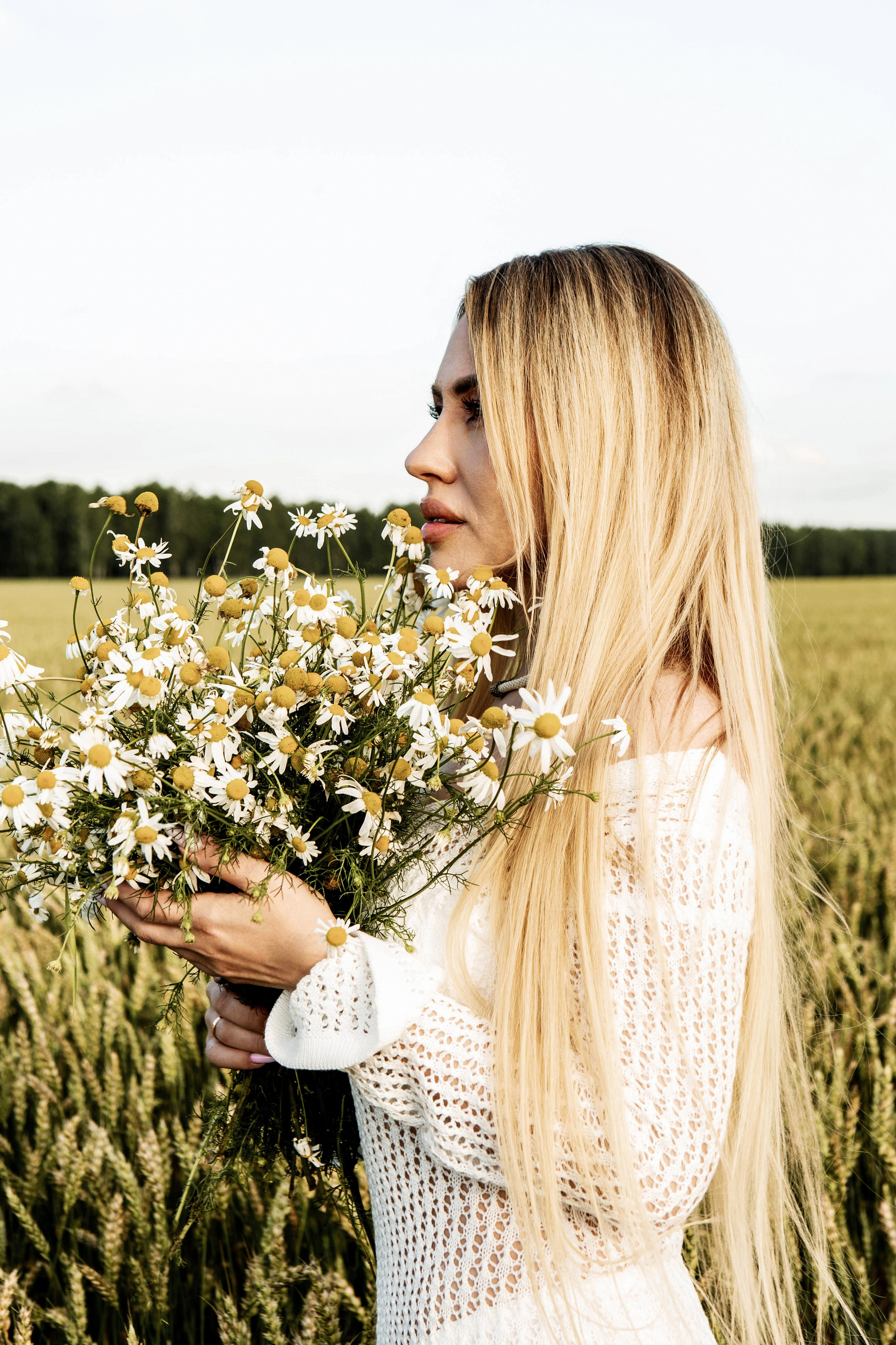 Ромашки. Фотограф Екатерина Голицына