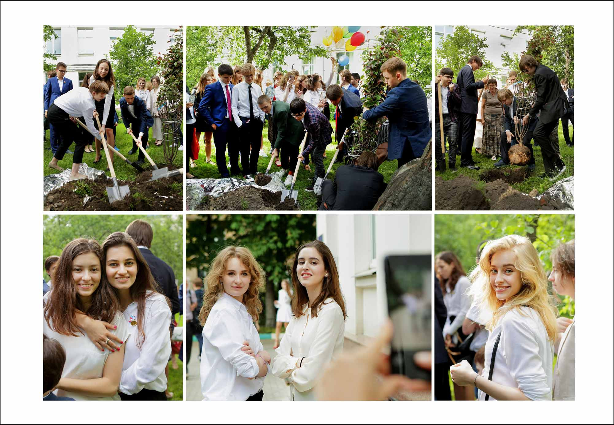 посадка дерева во дворе школы, последний звонок, школа 1239