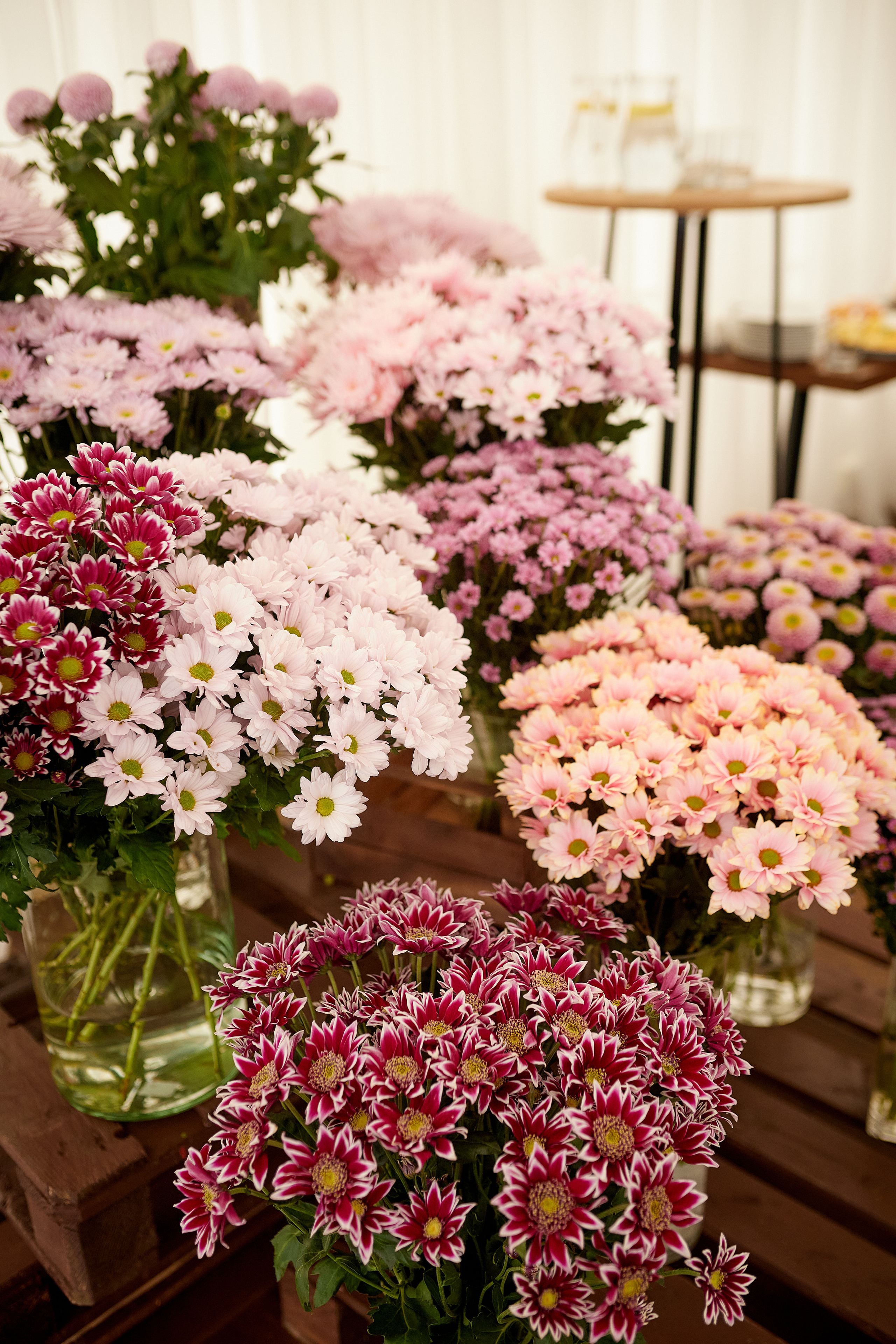 Презентация книги Анны Усовой. Имидж-стилист, преображения в Барнауле Ротфус Наталья