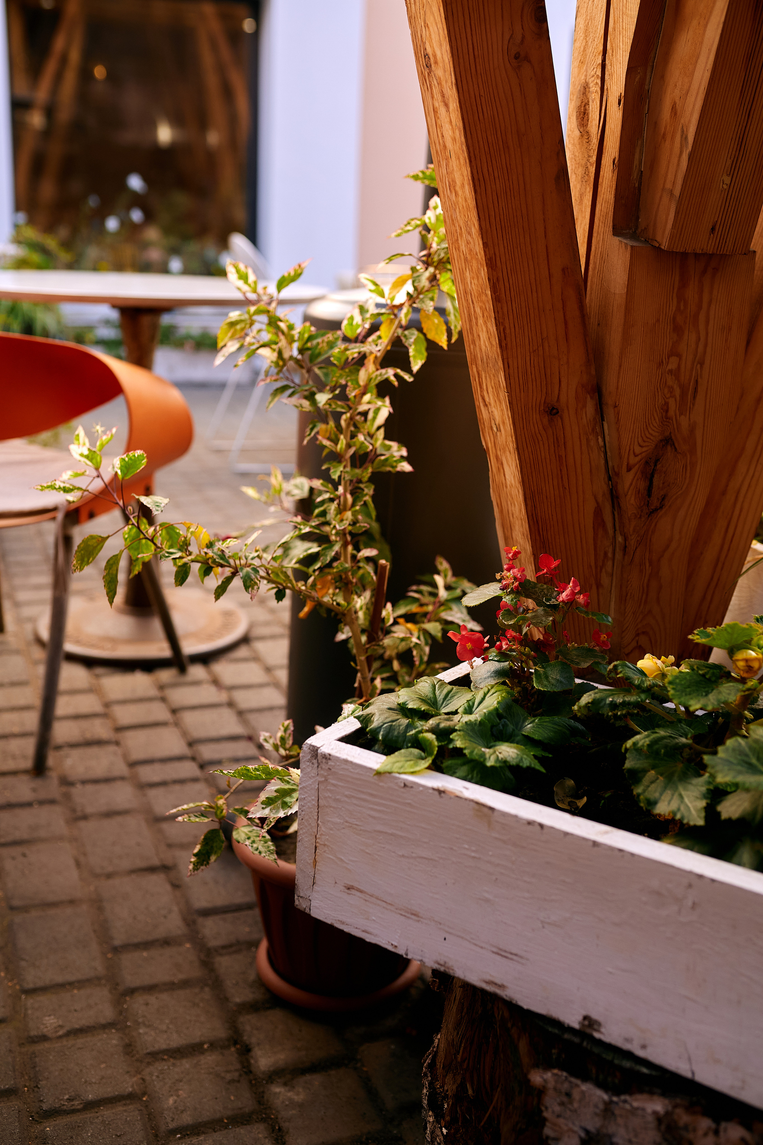 Встреча с Мариной Палагиной. Имидж-стилист, преображения в Барнауле Ротфус Наталья