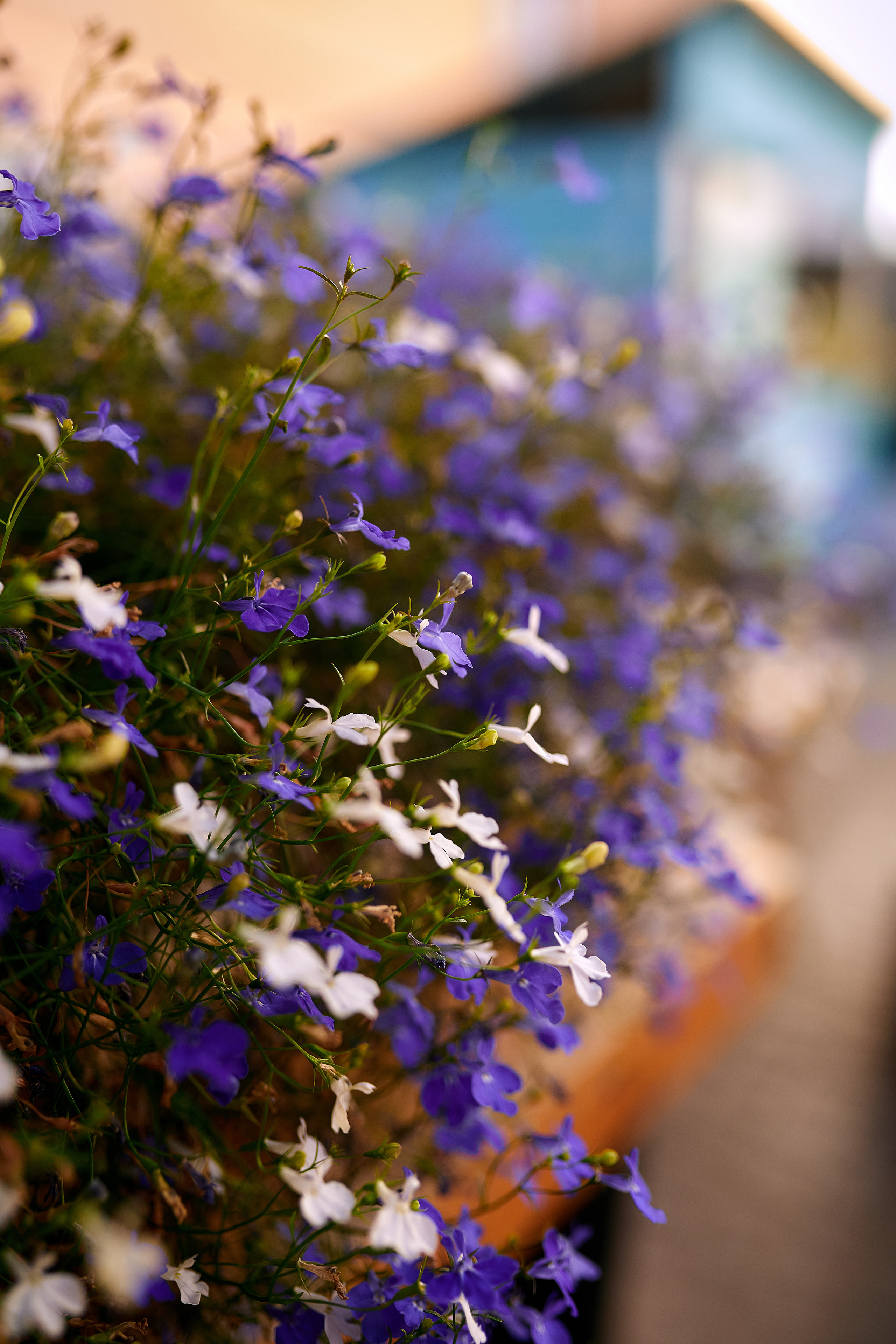 Встреча с Мариной Палагиной. Имидж-стилист, преображения в Барнауле Ротфус Наталья